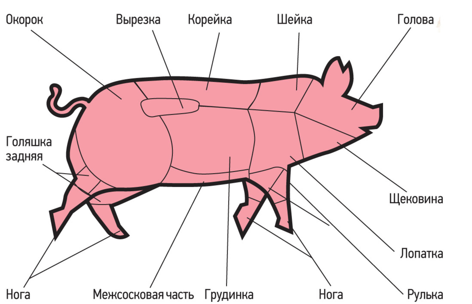 О продуктовом дефиците в СССР. На примере свинины | Пикабу