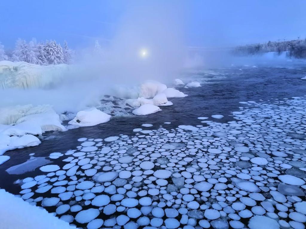 Ice water lilies - My, Winter, The photo, Murmansk region, Ice