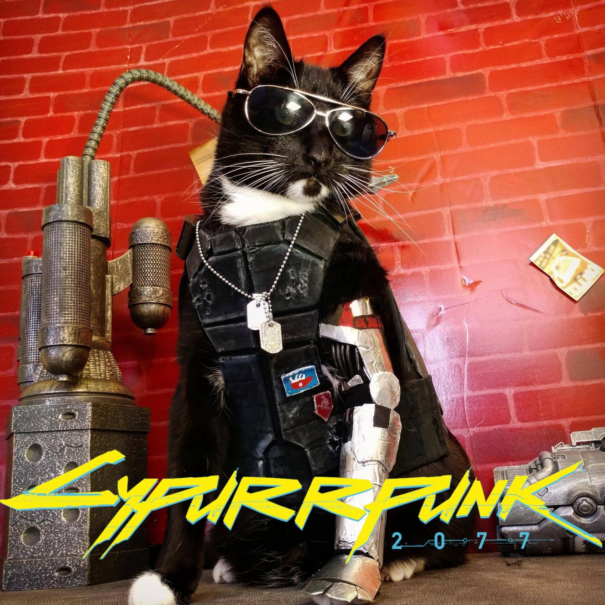 Best Cyberpunk Cosplay EVER - Cyberpunk 2077, Cosplay, cat