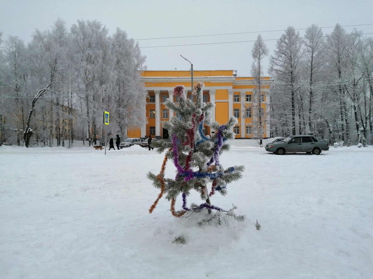 Новогодняя ёлка в городе Сегежа, Карелия | Пикабу