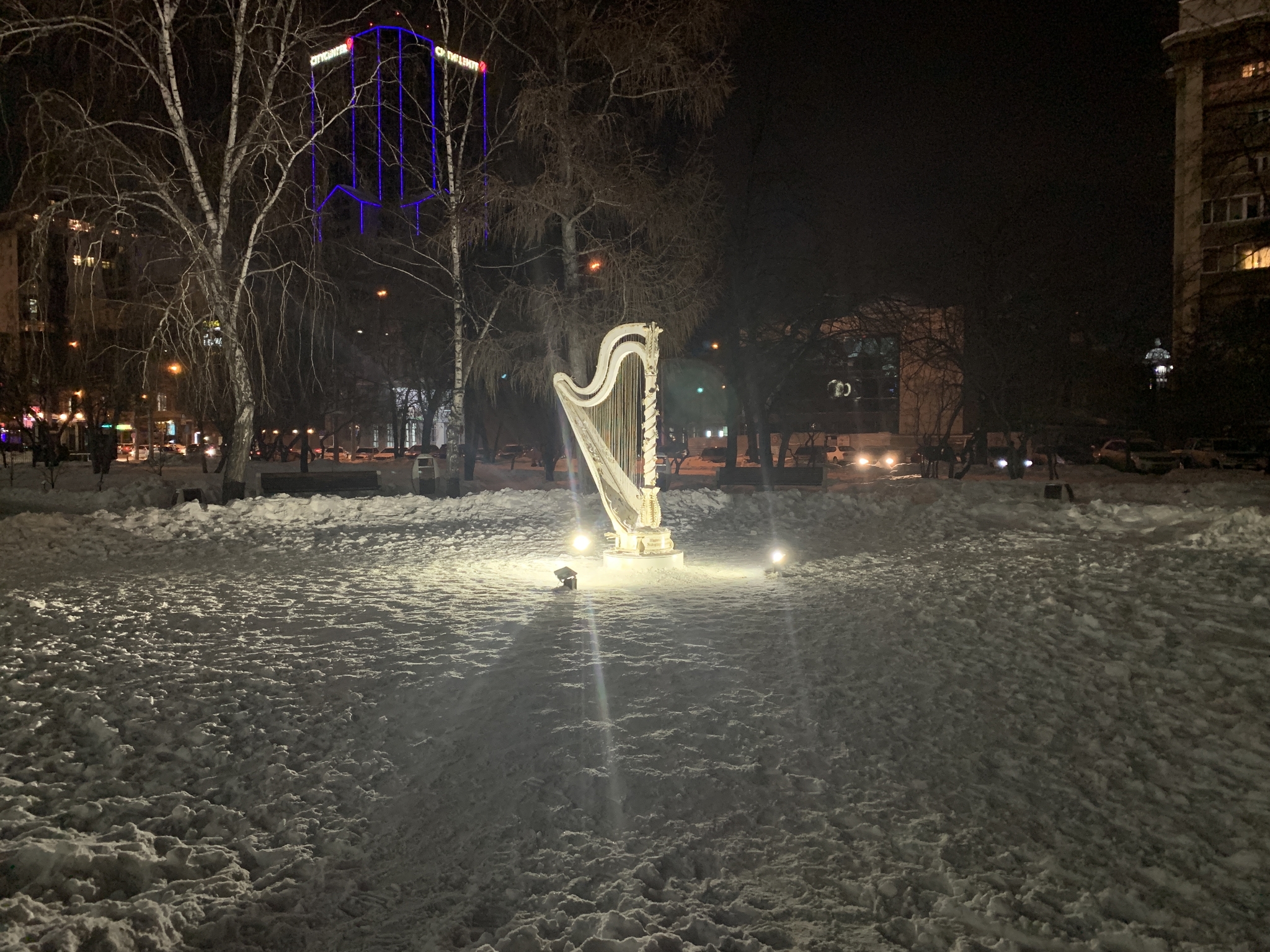 Novosibirsk - My, New Year, Christmas trees, Novosibirsk, Longpost