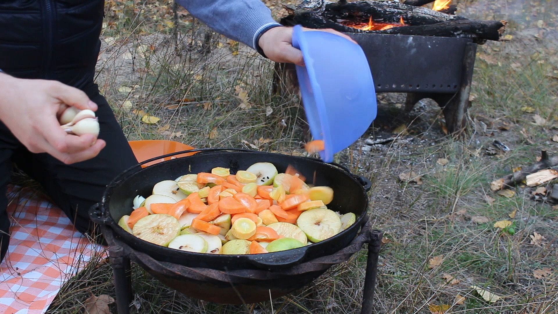 Goose stewed in vegetables and fruits in a cauldron - My, Гусь, Recipe, Yummy, Cooking, Basma, Video, Longpost