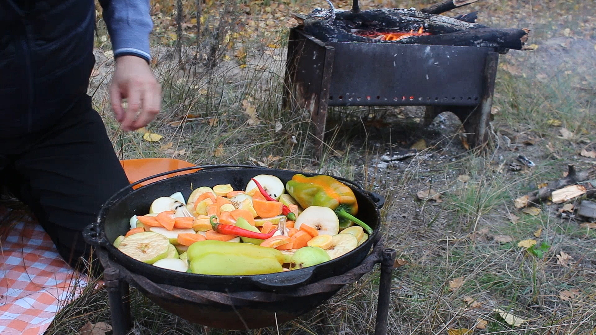 Гусь тушеный в овощах и фруктах в казане - Моё, Гусь, Рецепт, Вкусно, Кулинария, Басма, Видео, Длиннопост