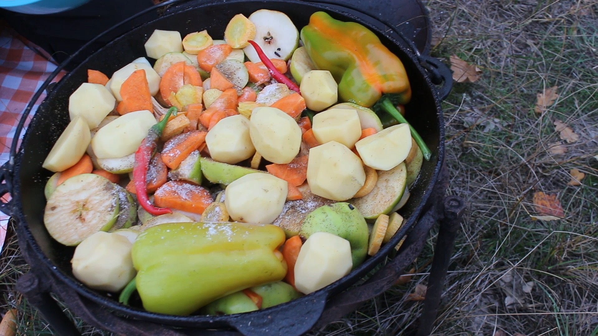 Goose stewed in vegetables and fruits in a cauldron - My, Гусь, Recipe, Yummy, Cooking, Basma, Video, Longpost