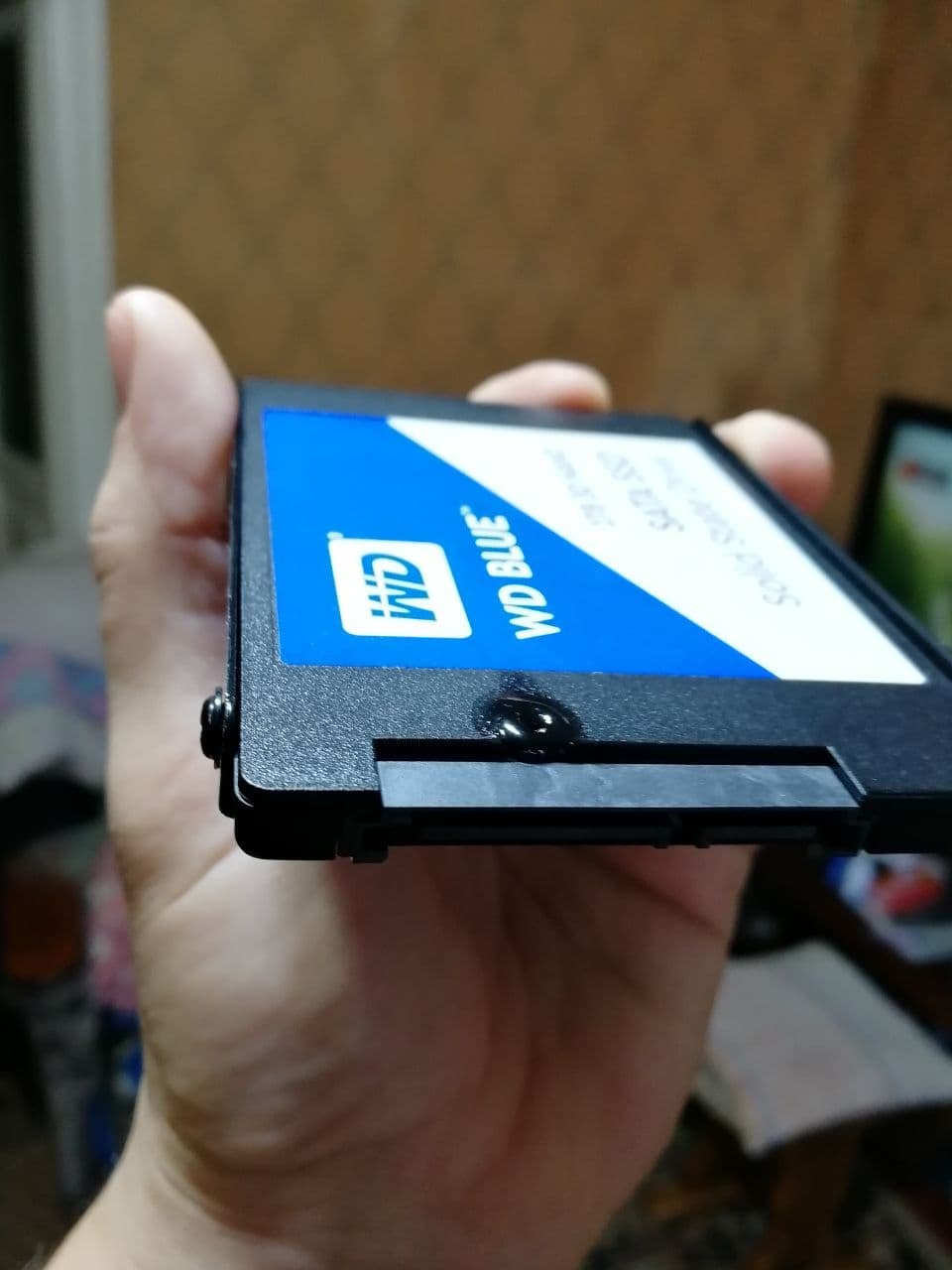 SSD WD Blue [WDS100T2B0A] Загорелся. Стоит ли идти до конца с ДНС ? | Пикабу