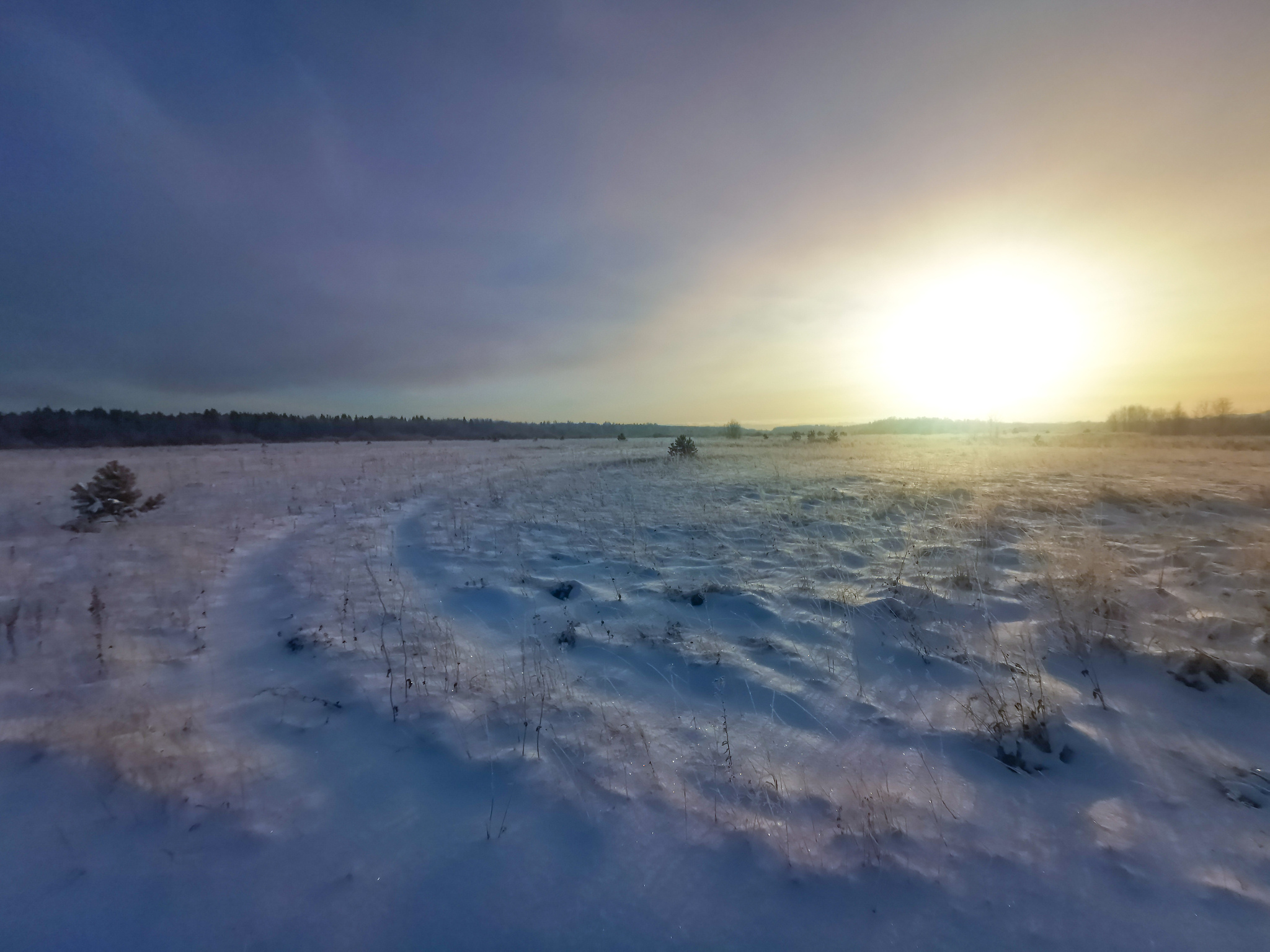 Winter Vyatka Cat. Route in Kirov at 55.55 km - My, Run, Kirov, Vyatka, Workout, Physical Education, Longpost, Ultramarathon