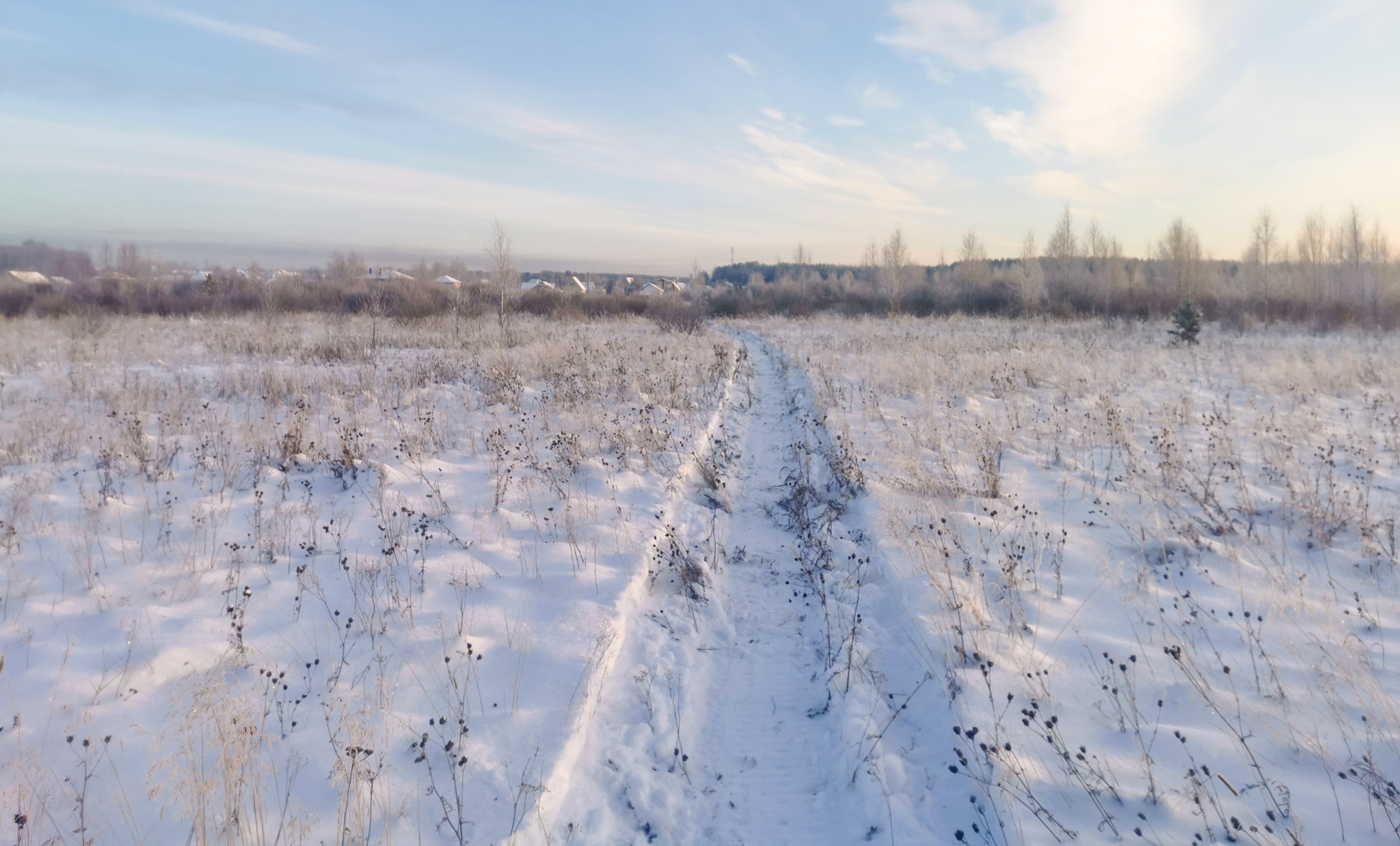 Winter Vyatka Cat. Route in Kirov at 55.55 km - My, Run, Kirov, Vyatka, Workout, Physical Education, Longpost, Ultramarathon