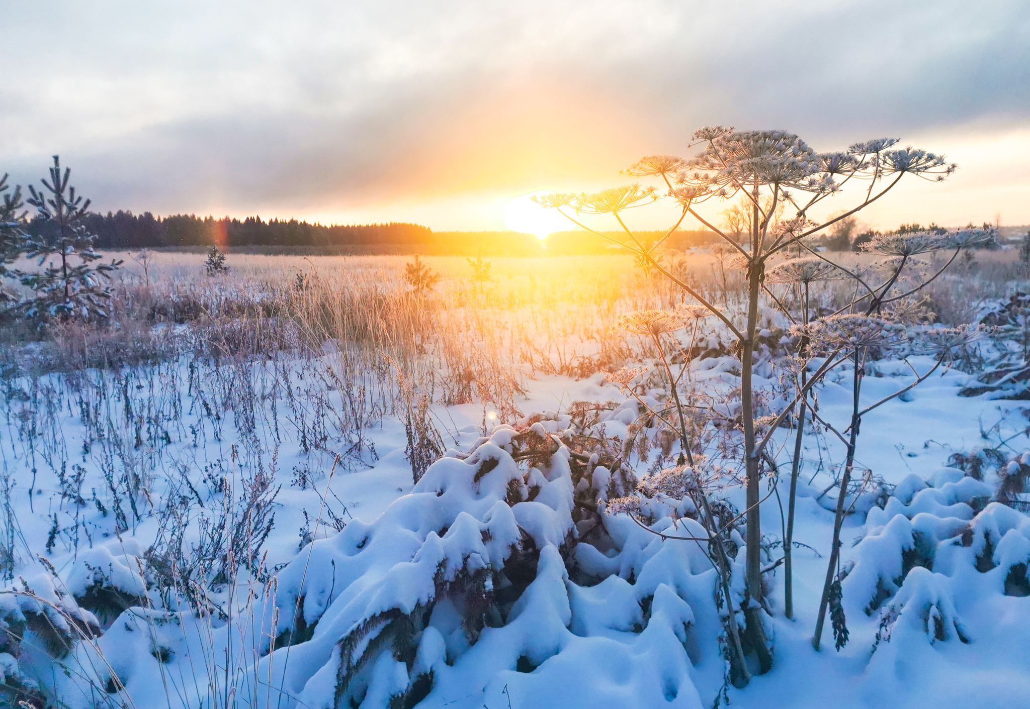 Winter Vyatka Cat. Route in Kirov at 55.55 km - My, Run, Kirov, Vyatka, Workout, Physical Education, Longpost, Ultramarathon