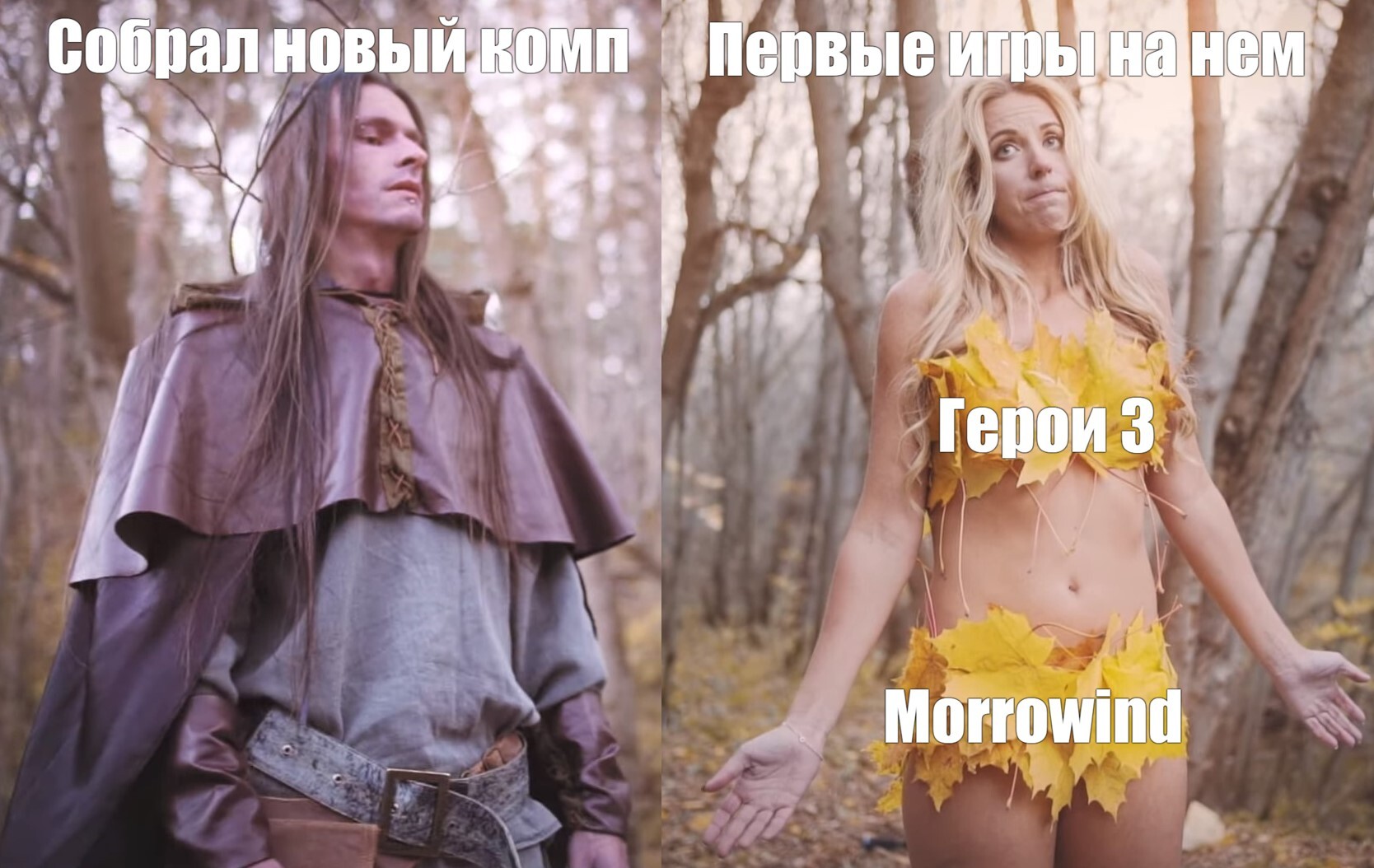 Ничего не меняется - Моё, Герои меча и магии, The Elder Scrolls III: Morrowind, Мемы, Юмор, Компьютер, Компьютерные игры, Ретро-Игры, Алконост, Картинка с текстом, HOMM III