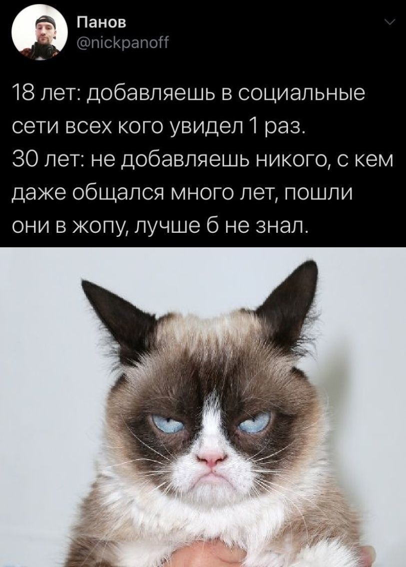 Yes - cat, Sociopathy, 30 years, Social networks, Screenshot, Grumpy cat