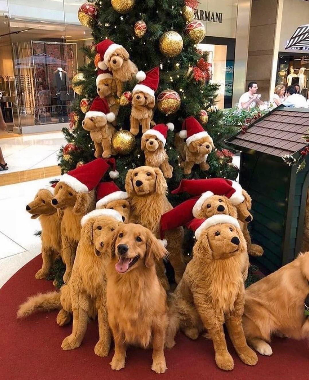 New Year's recursion - The photo, Animals, Dog, Golden retriever, Soft toy, Christmas tree, Funny, Milota, From the network