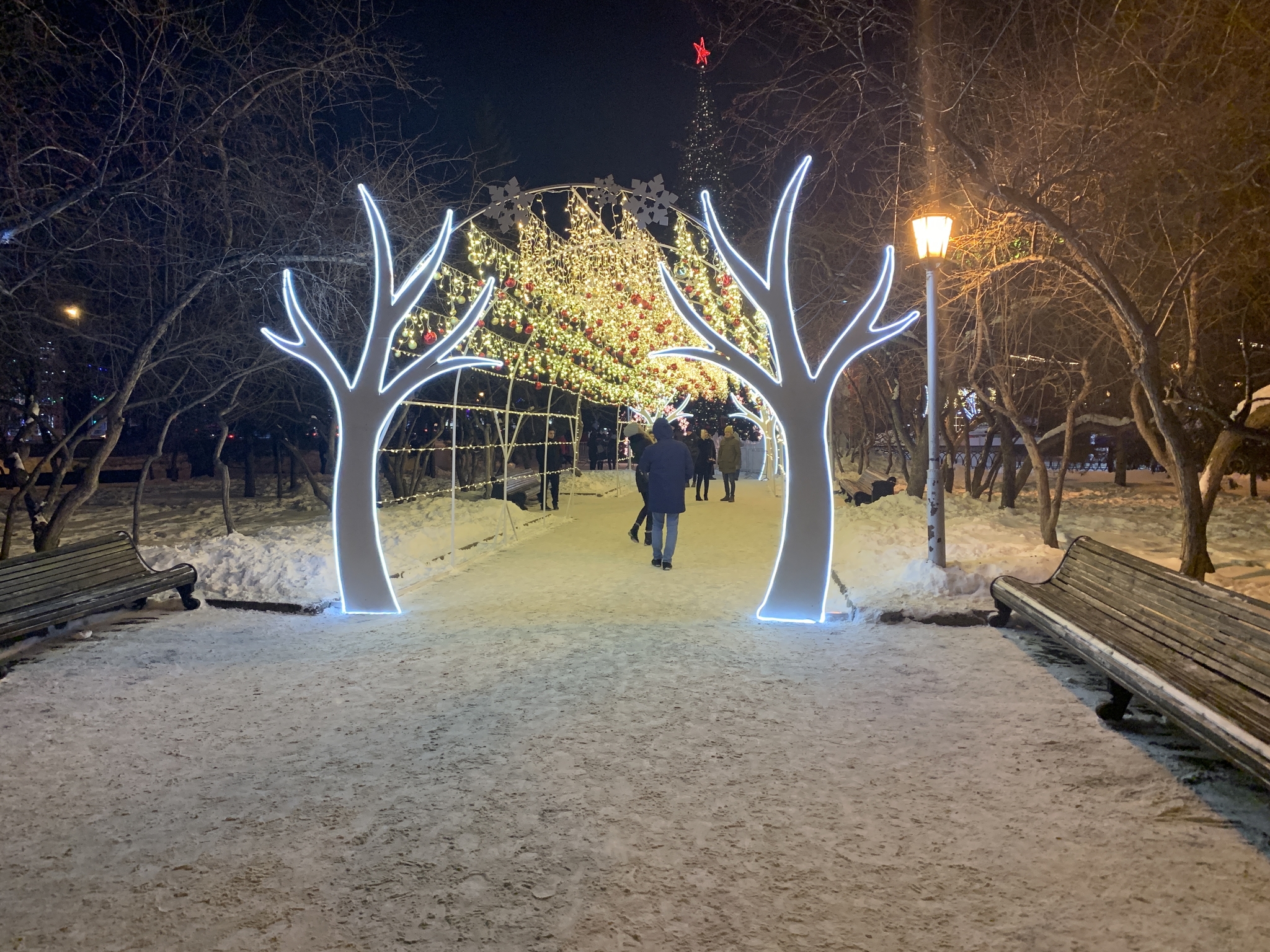 Novosibirsk - My, New Year, Christmas trees, Novosibirsk, Longpost