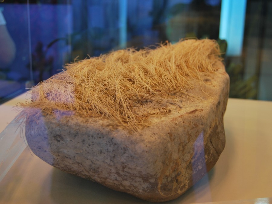 Trump's stone - Gypsum, Hair, Geology, Longpost