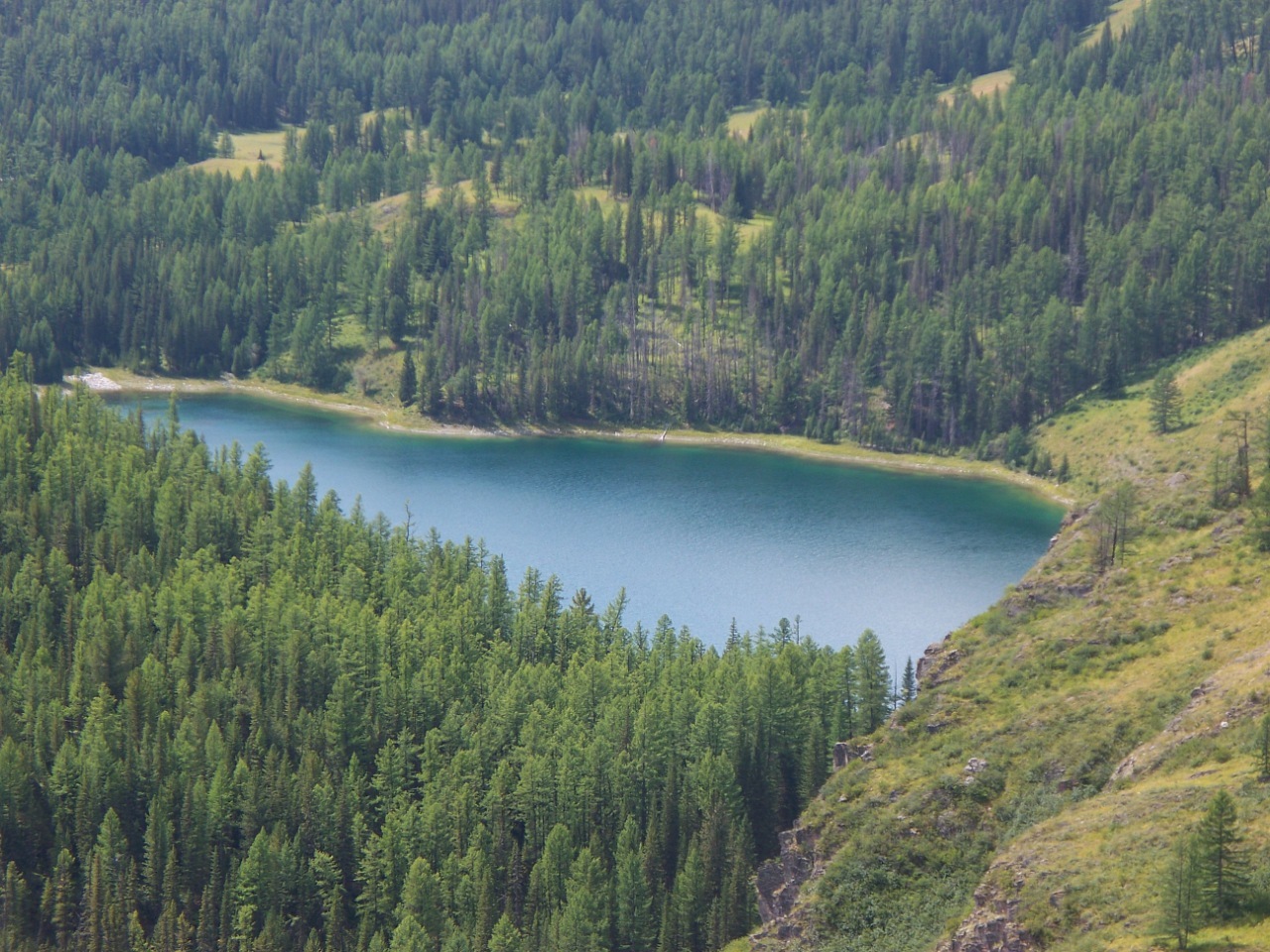 Swim across Chulyshman or Take care of it! - My, Altai Republic, Mountain Altai, Chulyshman Valley, Adventures, Fishing, Grayling, Alloy, Life stories, Real life story, Story, Author's story, Longpost