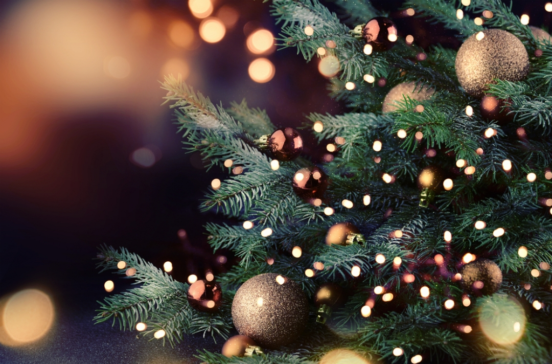 How to extend the life of a Christmas tree? - Christmas tree, Advice