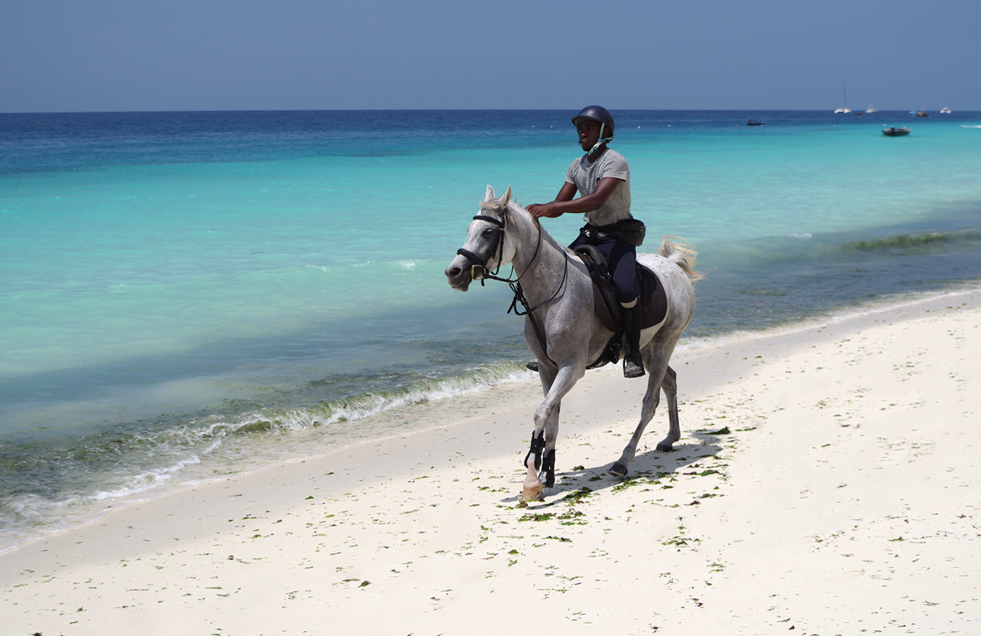 The stars rushed to Zanzibar - My, Africa, Zanzibar Island, Travels, Wild tourism, People, Relaxation, Longpost