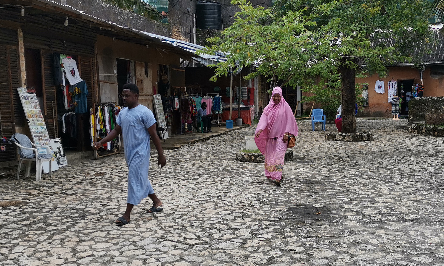 The stars rushed to Zanzibar - My, Africa, Zanzibar Island, Travels, Wild tourism, People, Relaxation, Longpost