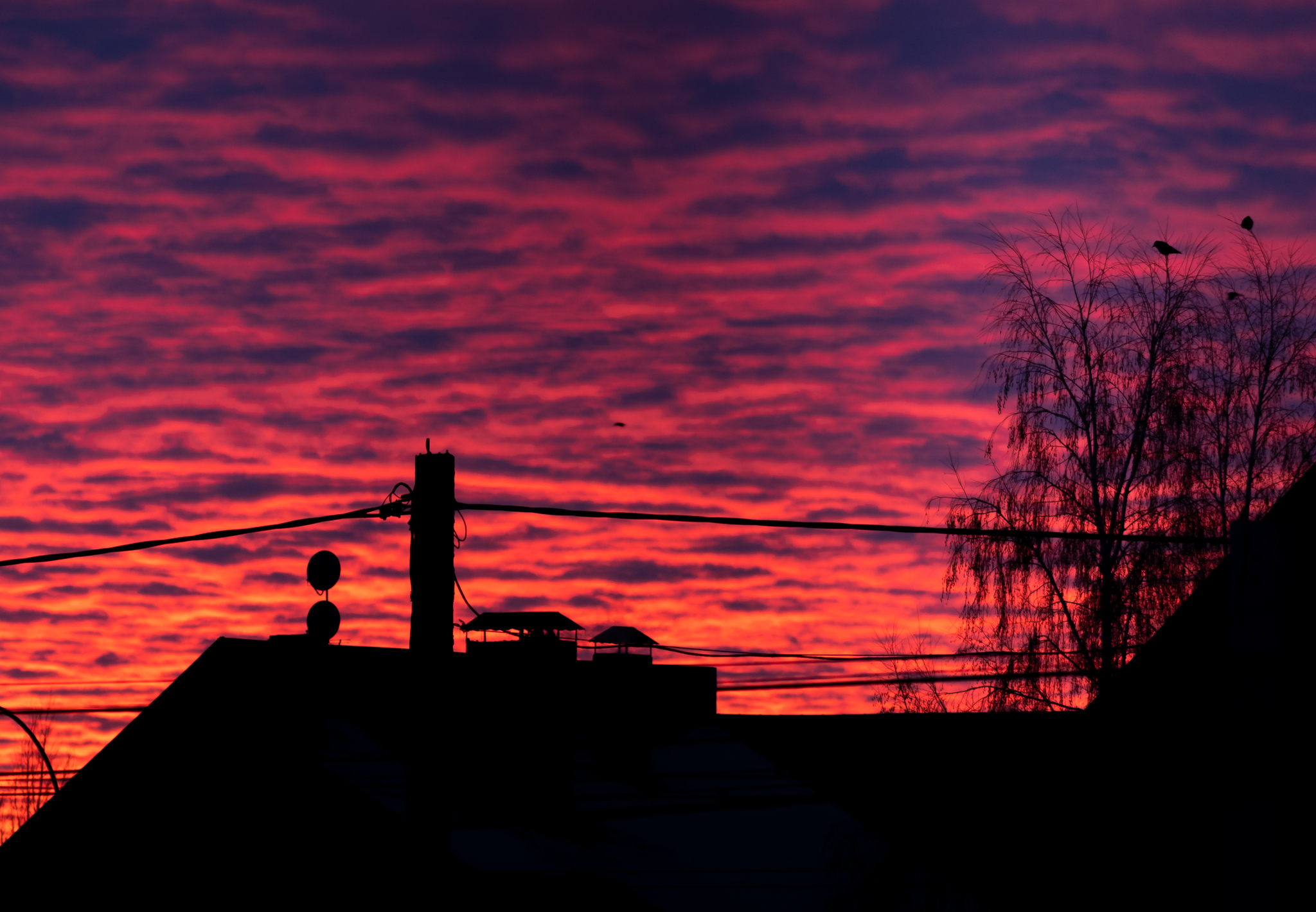 Sunset in the village - My, Sunset, Silhouette, Evening, The photo, Nikon