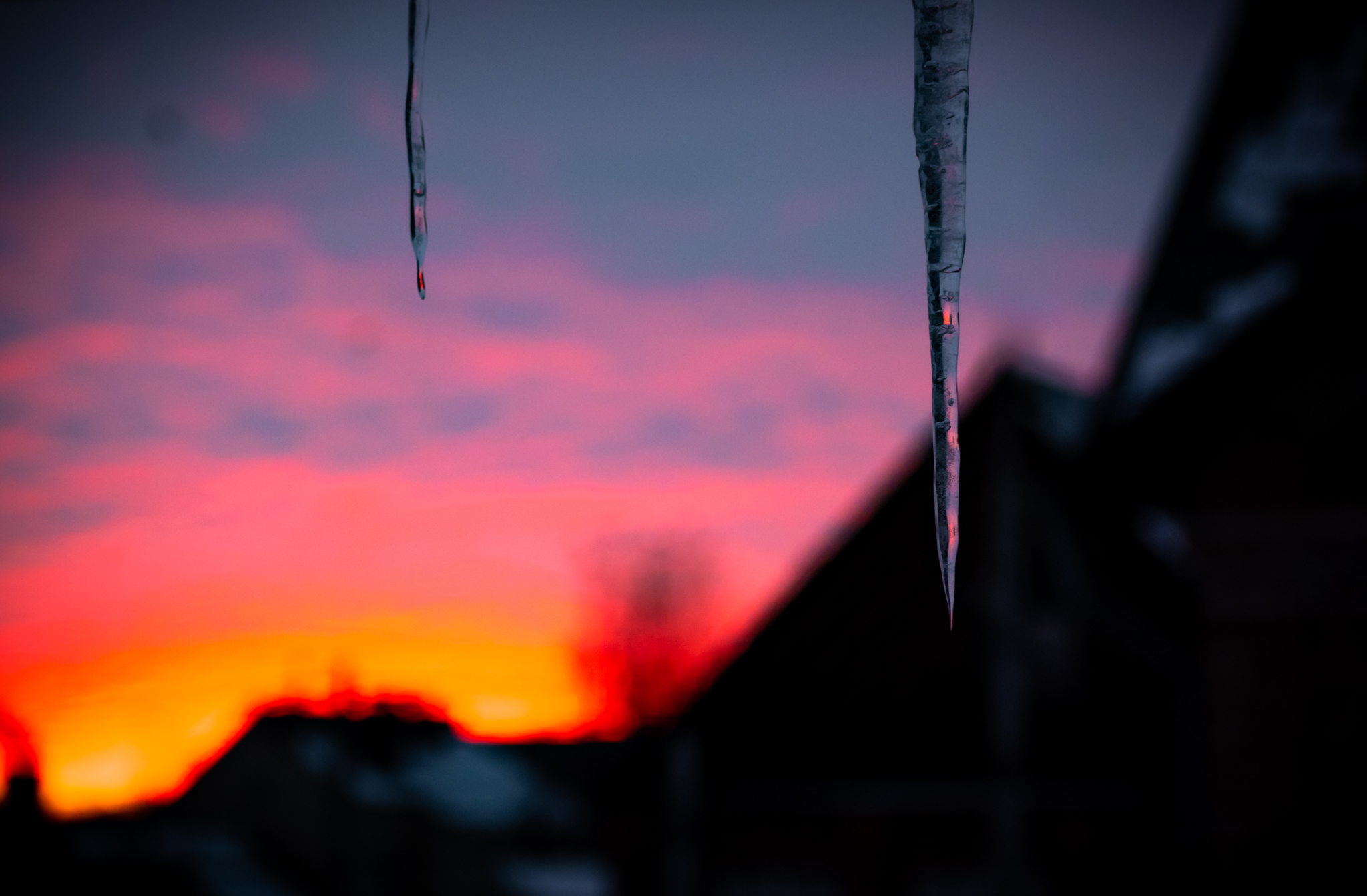 Sunset in the village - My, Sunset, Silhouette, Evening, The photo, Nikon