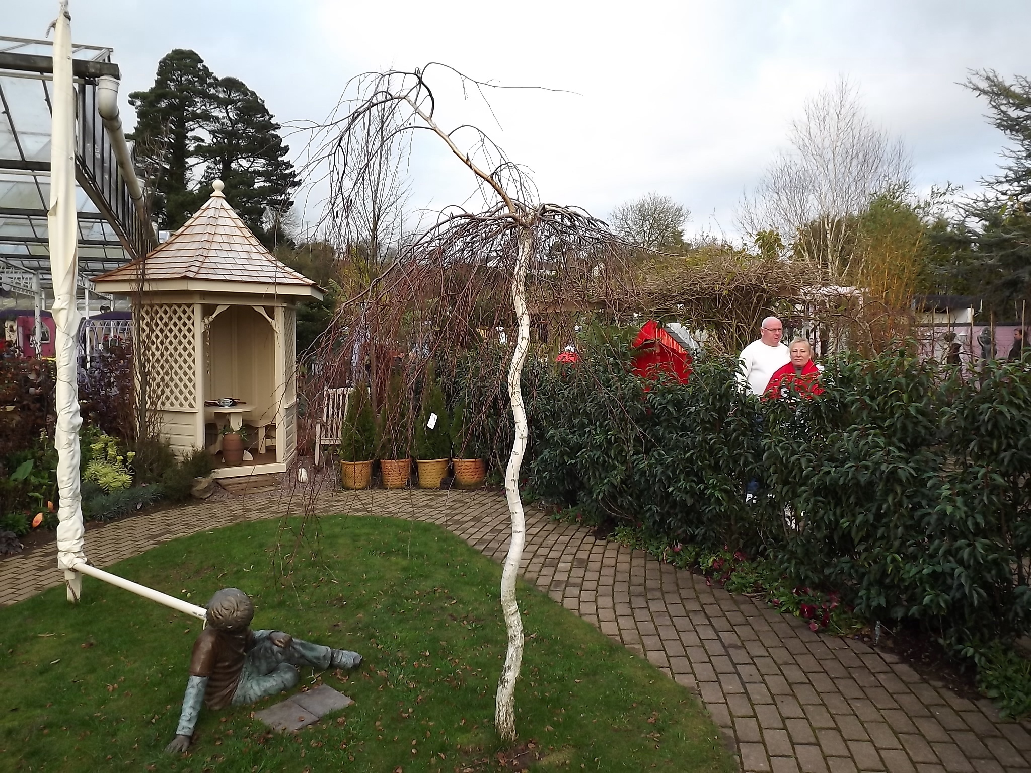 Shop for the soul - My, Gardening, Ireland, Longpost