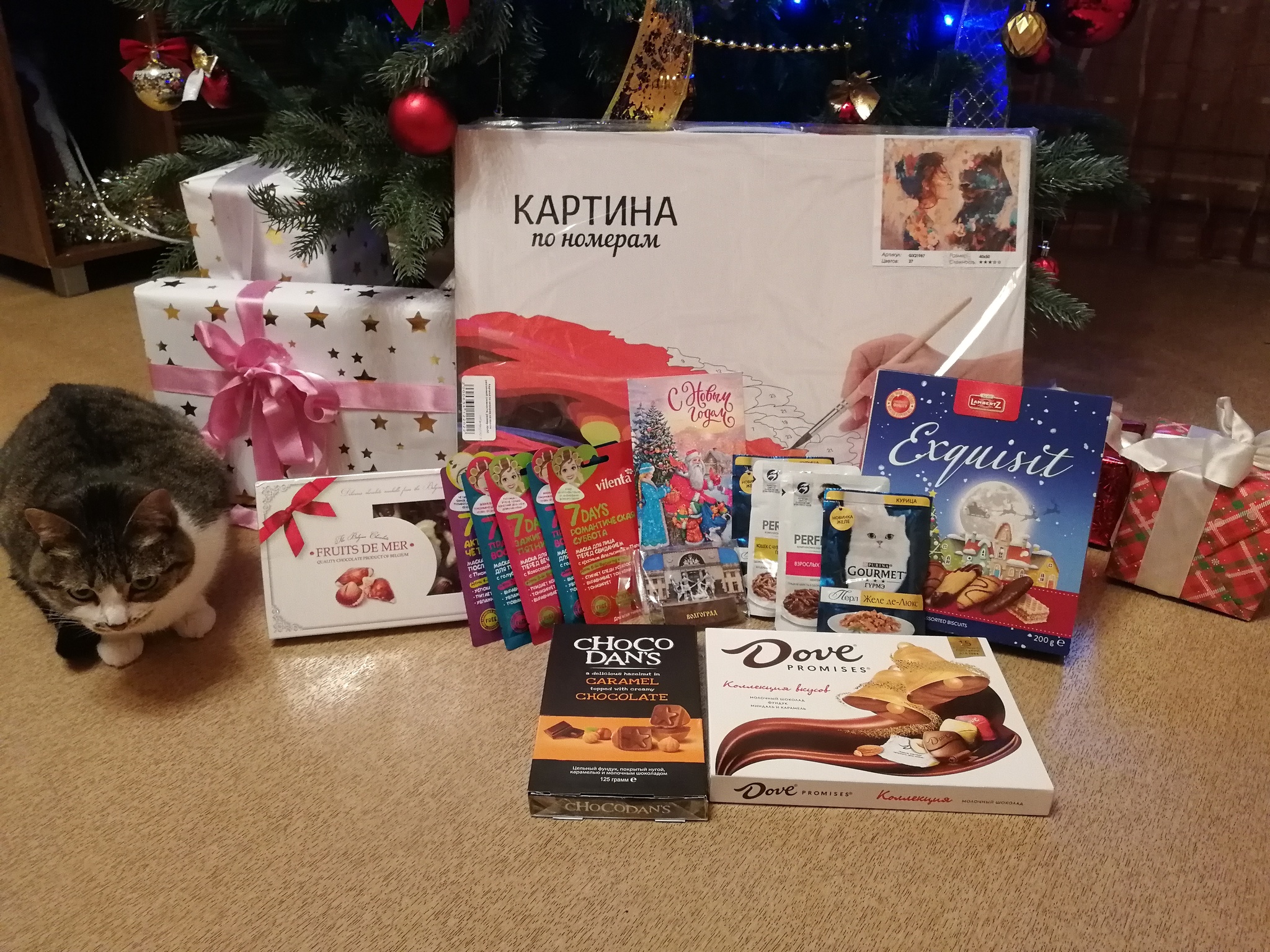 ADM Volgograd - Chelyabinsk 2020/2021 - My, Gift exchange, Secret Santa, cat, Volgograd, Chelyabinsk, Father Frost, Longpost