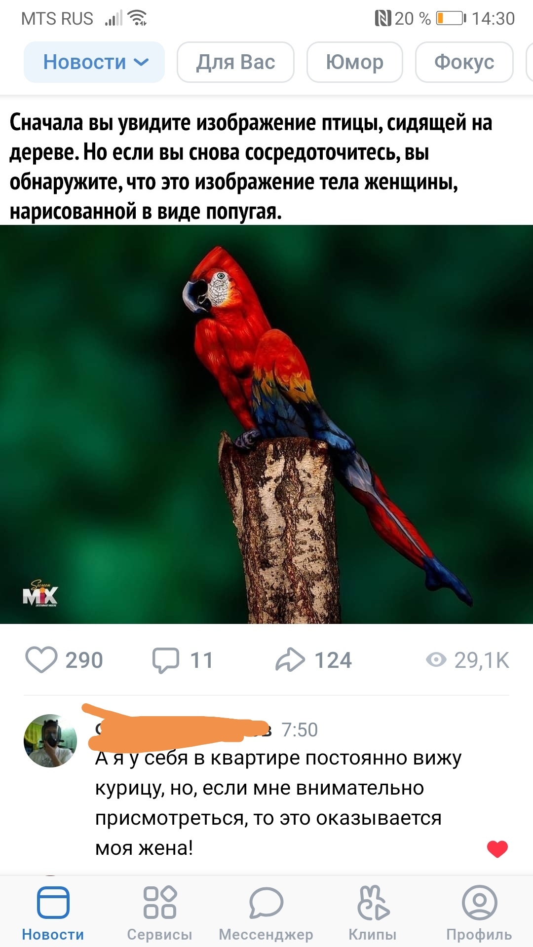 Snarky comment - In contact with, Comments, Screenshot, A parrot, Love