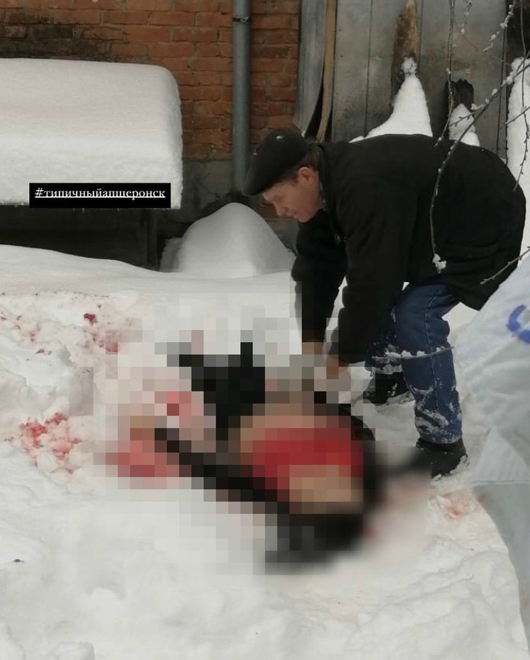 “Dealt with a week before the wedding”: a 26-year-old pregnant girl was brutally murdered in Kuban - news, Negative, Murder, Inadequate, Kuban, TVNZ, Longpost