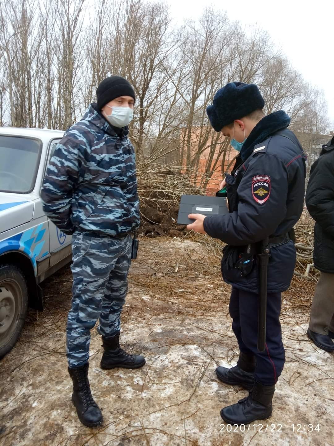 In Kostroma, they are destroying the green zone for the sake of a friendly developer - My, Building, Let's save the trees, The park, Kostroma, Power, Society, Longpost, Negative