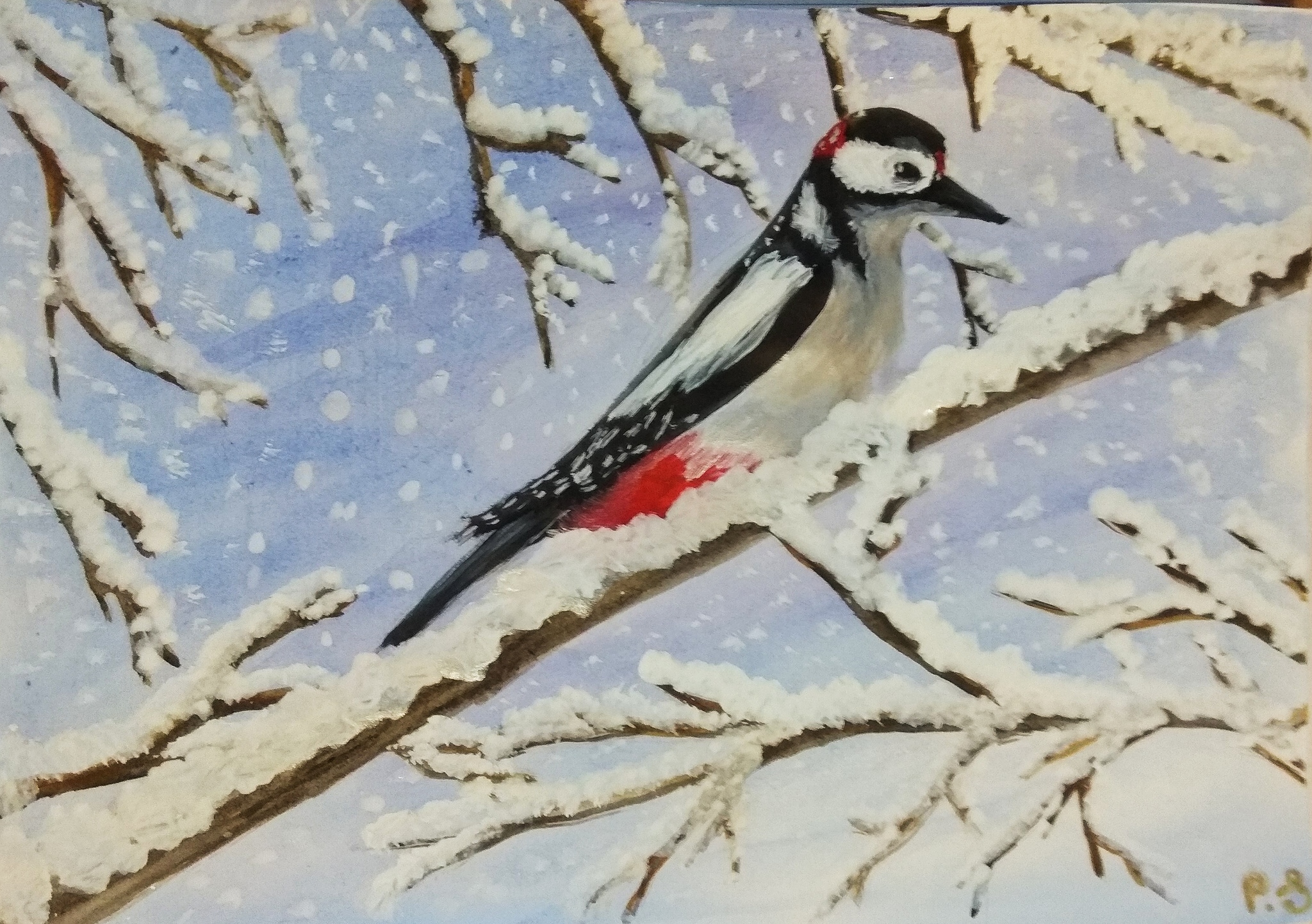 A little winter and birds - My, Birds, Winter, Watercolor, Drawing, Longpost