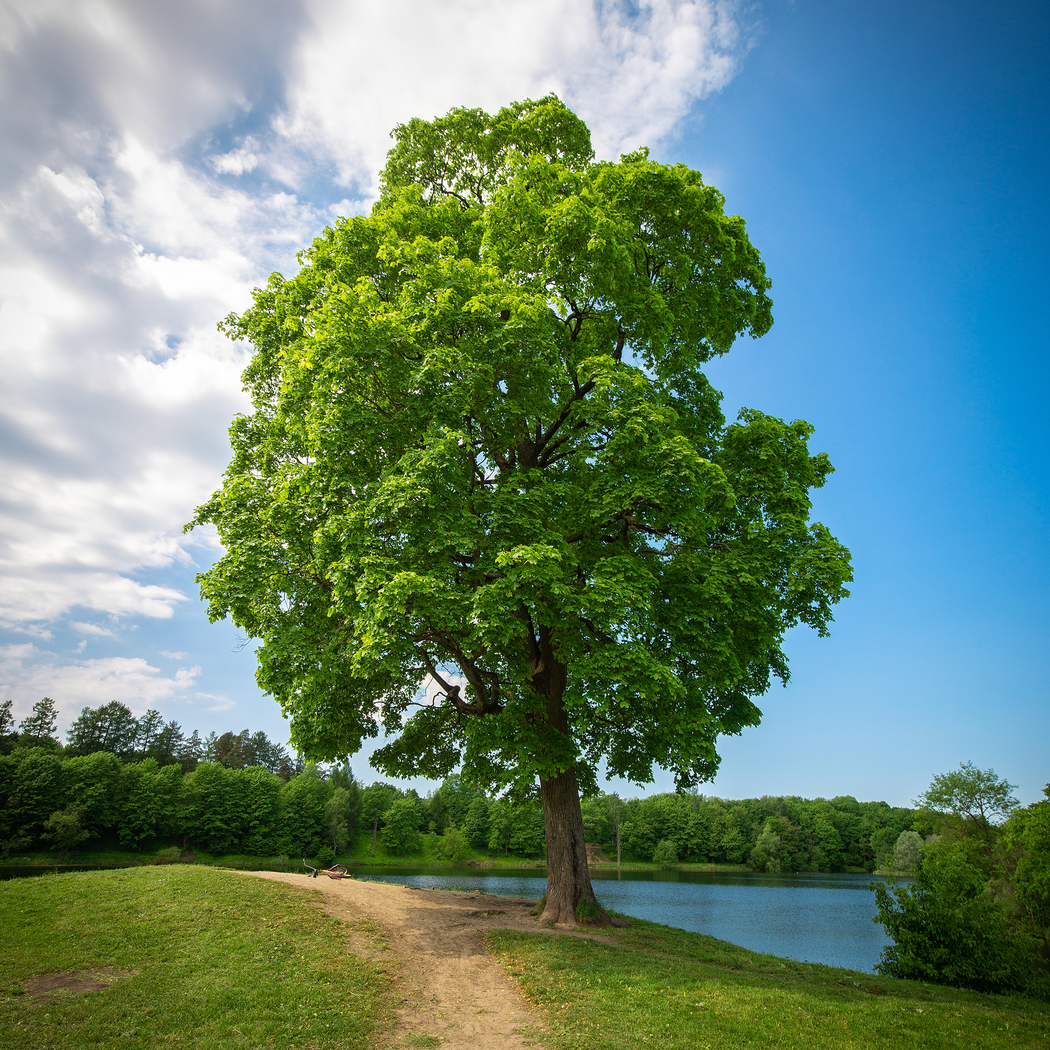 Remembering the summer - My, The photo, Canon 6d, Landscape, Summer, Saint Petersburg, Leningrad region, Longpost