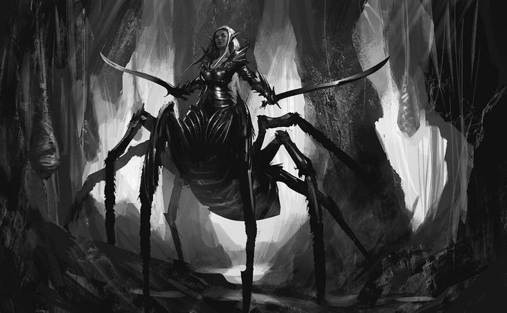 Lolth #37 - My, Spider, Bird spiders, Mat, Longpost