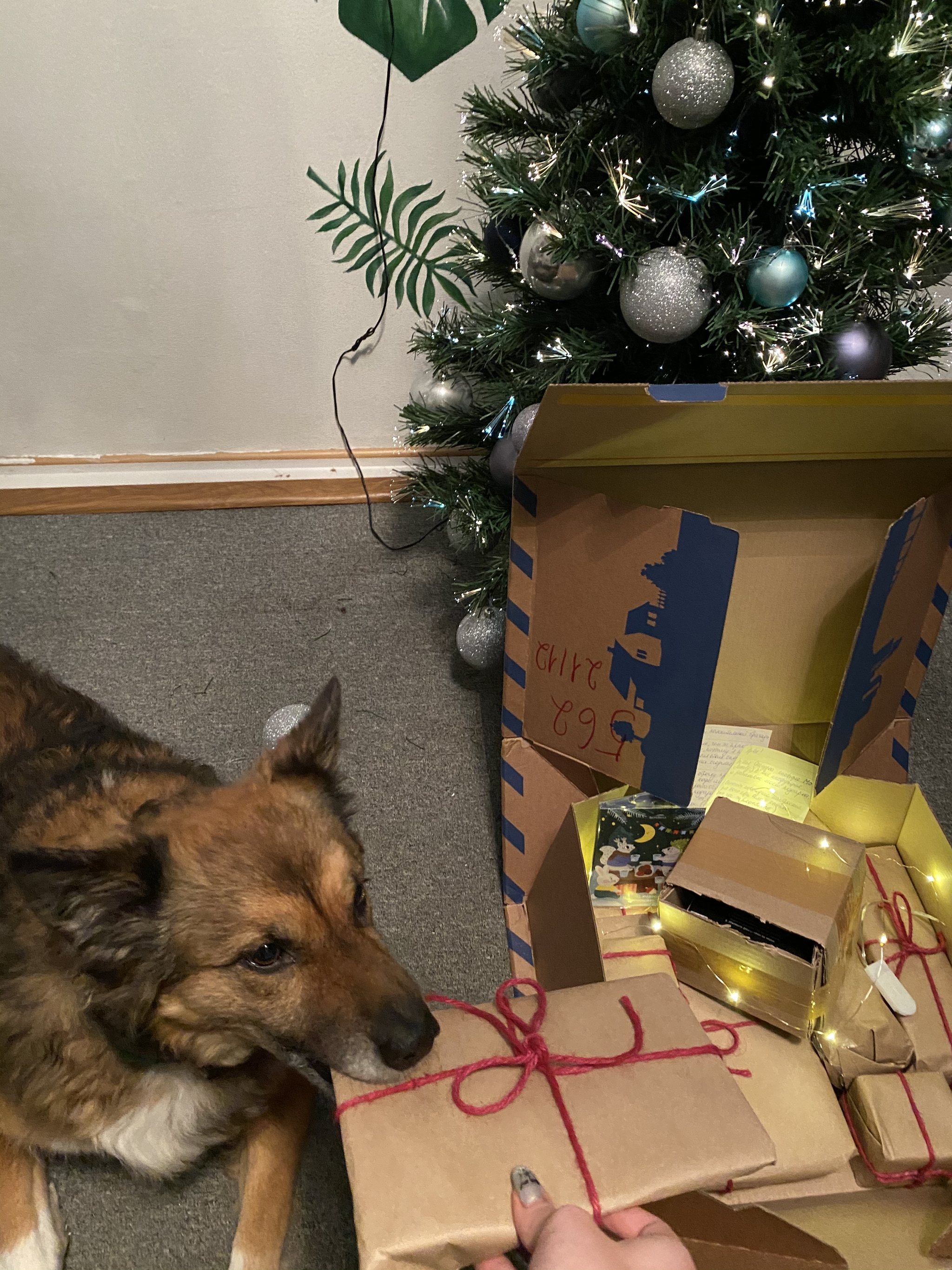 Crazy exchange from Mirrochka: Moscow-Kostroma or why ninjas cut onions over my gift - My, Gift exchange report, New Year's gift exchange, New Year's exchange from Mirrochka, Secret Santa, Gift exchange, Happiness, Gratitude, Longpost