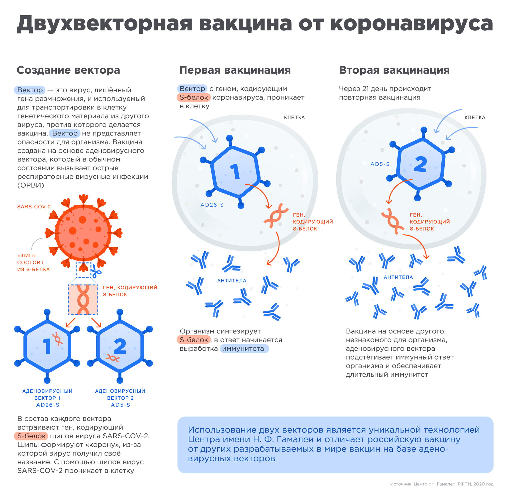 Sputnik V vaccination and gene therapy - find five differences - My, Vaccine, Satellite V, Coronavirus, The science, The medicine, Genetics, Virus, Health, Longpost