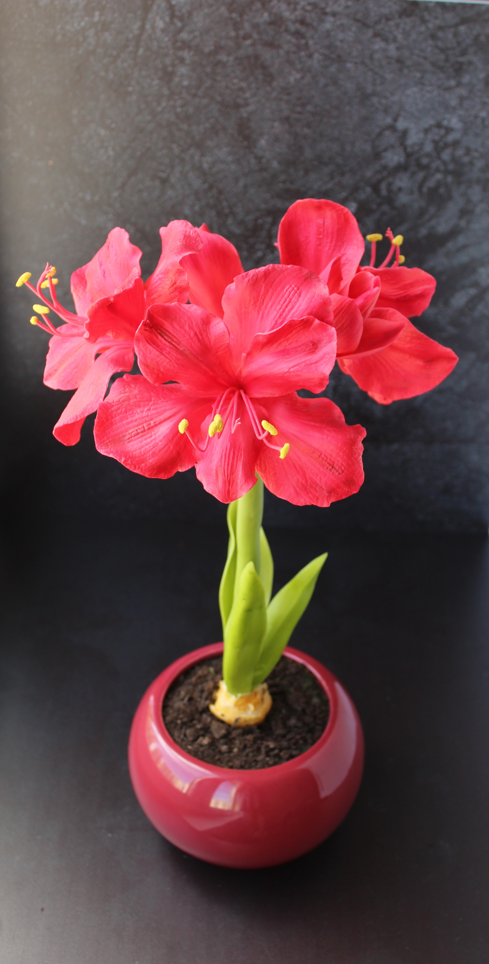 Amaryllis - My, Amaryllis, Polymer clay, Polymer floristry, Longpost, Needlework without process