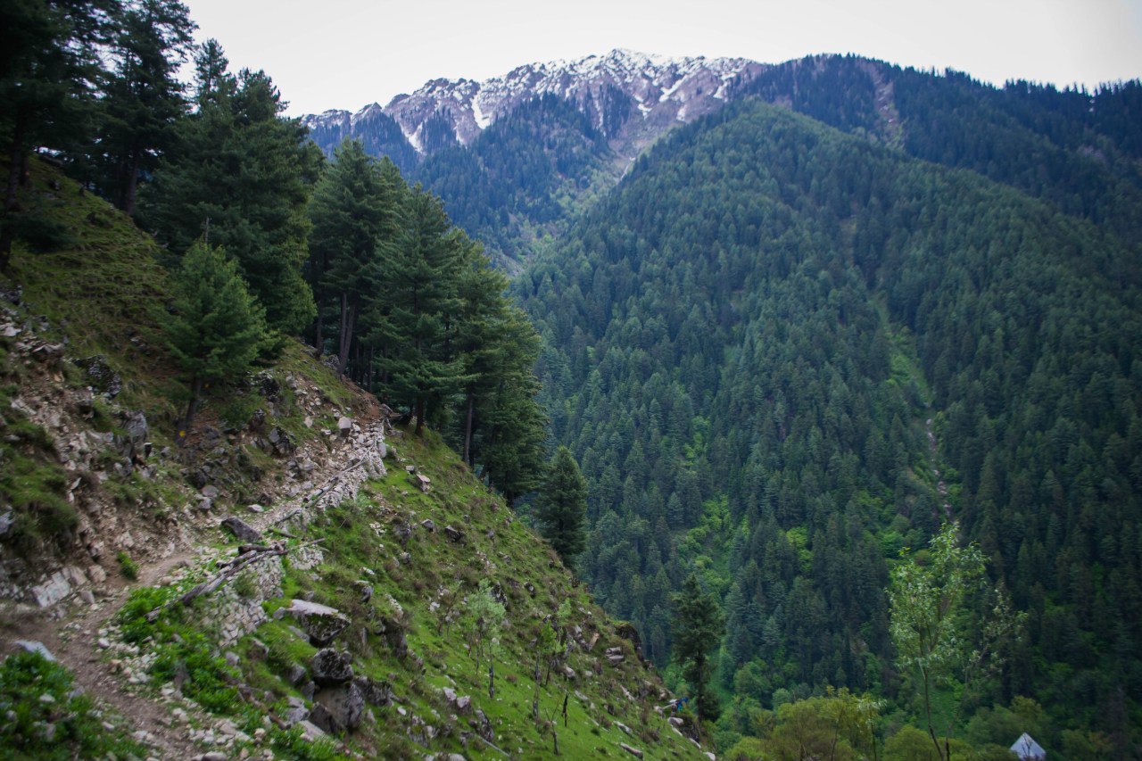 Kashmir. Srinagar. Everyday and festive cuisine - My, Kashmir, India, Pakistan, The mountains, Travels, Longpost