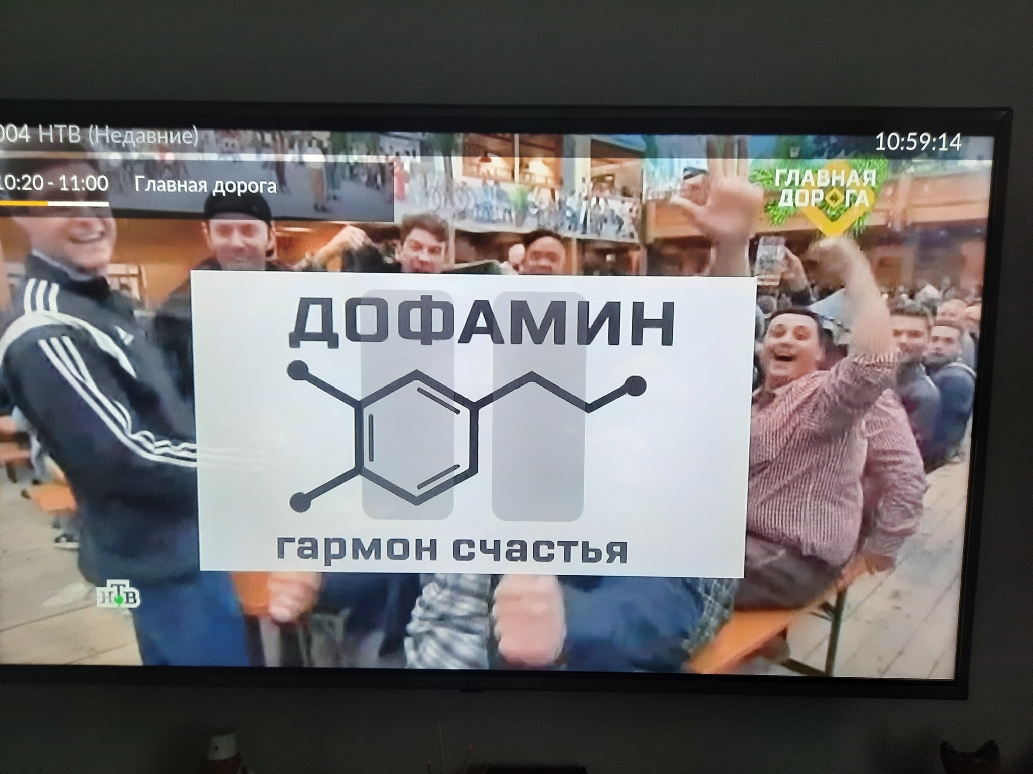 Illiterate NTV - My, Grammar Nazi, NTV