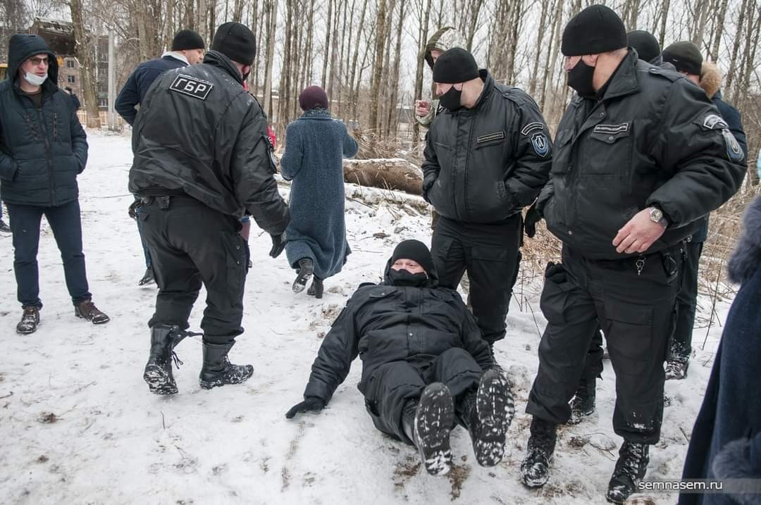 Героическая Костромская бабушка защищает деревья в своём дворе от вырубки - Моё, Кострома, Власть, Общество, Бабушка, Костромская область, Противостояние, Борьба, Природа, Длиннопост, Застройщик, Вырубка, Негатив