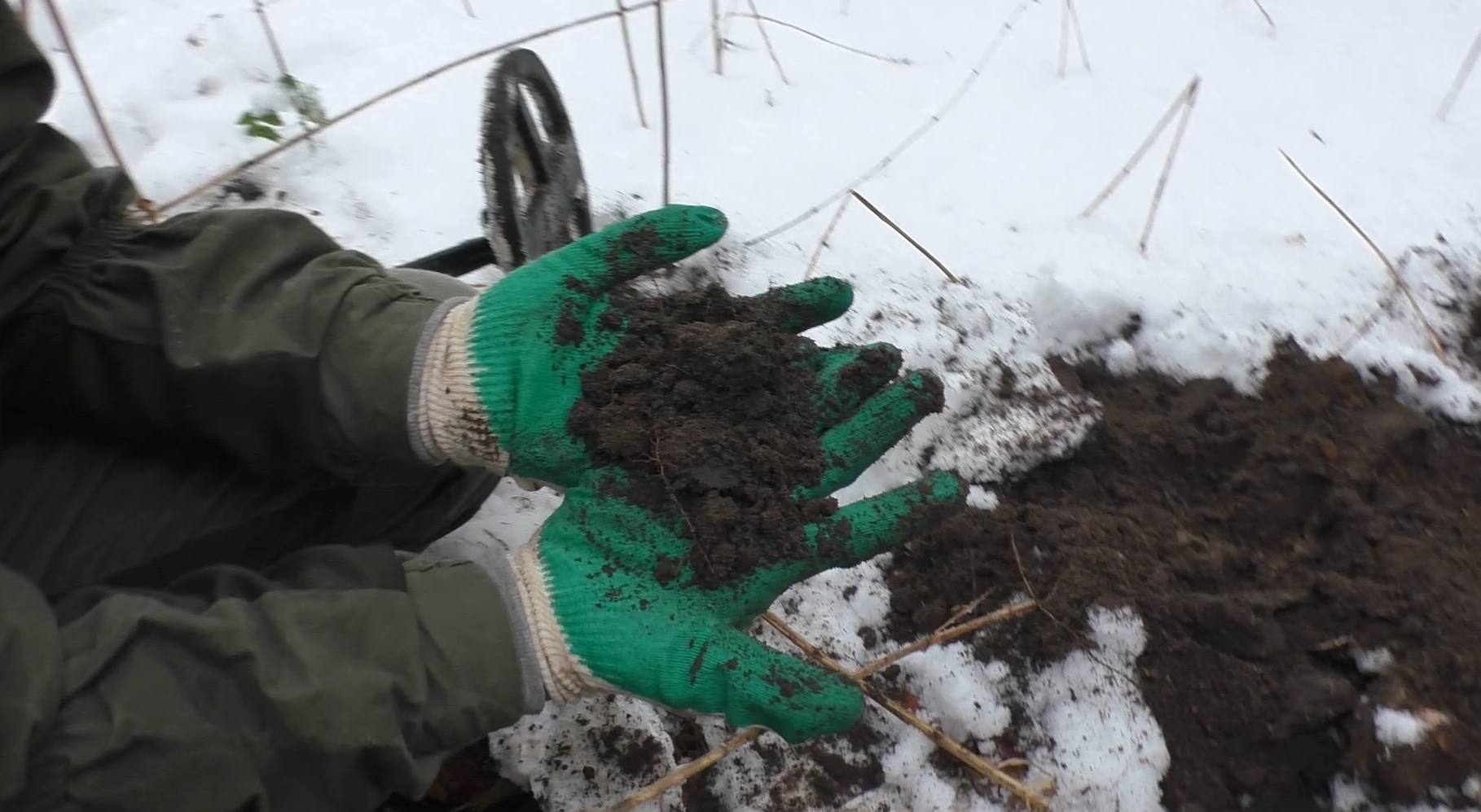 THE CORNER OF THE FORESTER'S HUT WAS NOT EMPTY! Searching for gold with a metal detector - My, Search, Metal detector, Treasure hunt, Find, Hobby, Travels, Forest, Video, Longpost