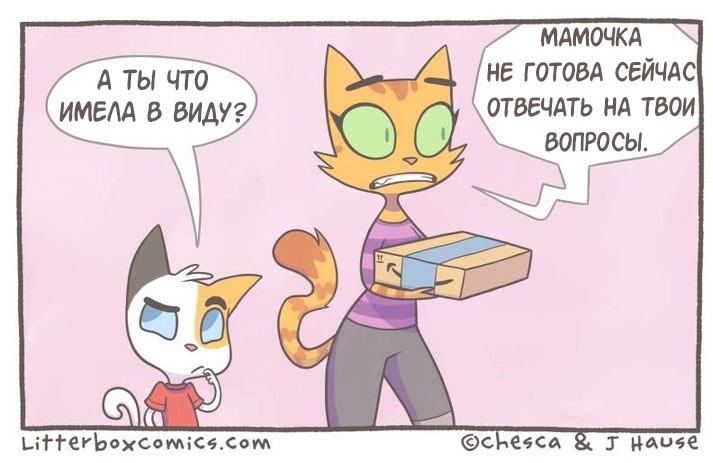 В любом случае, он не ошибается - Litterbox Comics, Комиксы, Кот