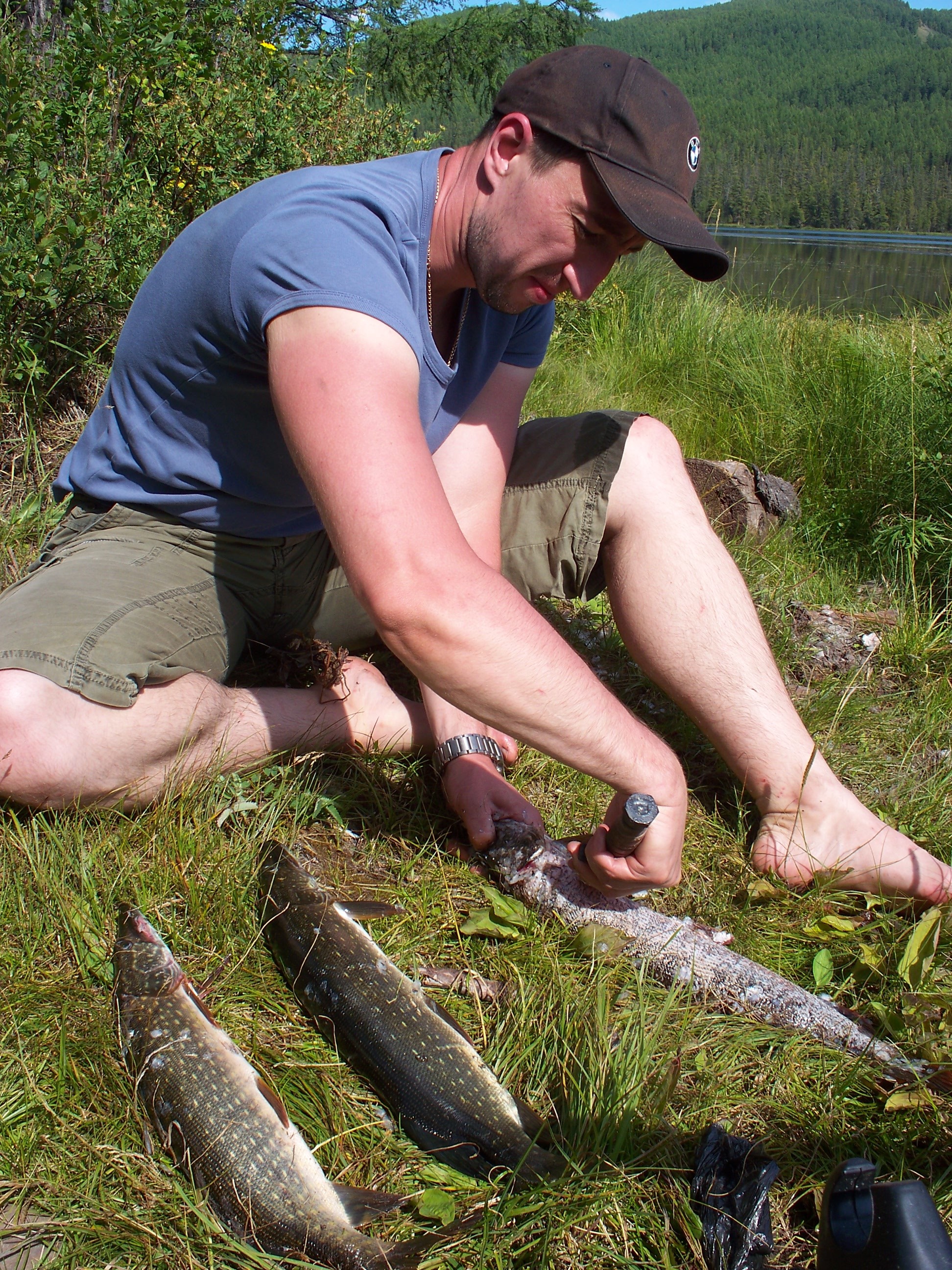 Ulagansky pikes - My, Adventures, Altai Republic, Mountain Altai, The mountains, Taiga, Fishing, Humor, Summer, Vacation, Life stories, Real life story, Story, Author's story, Longpost