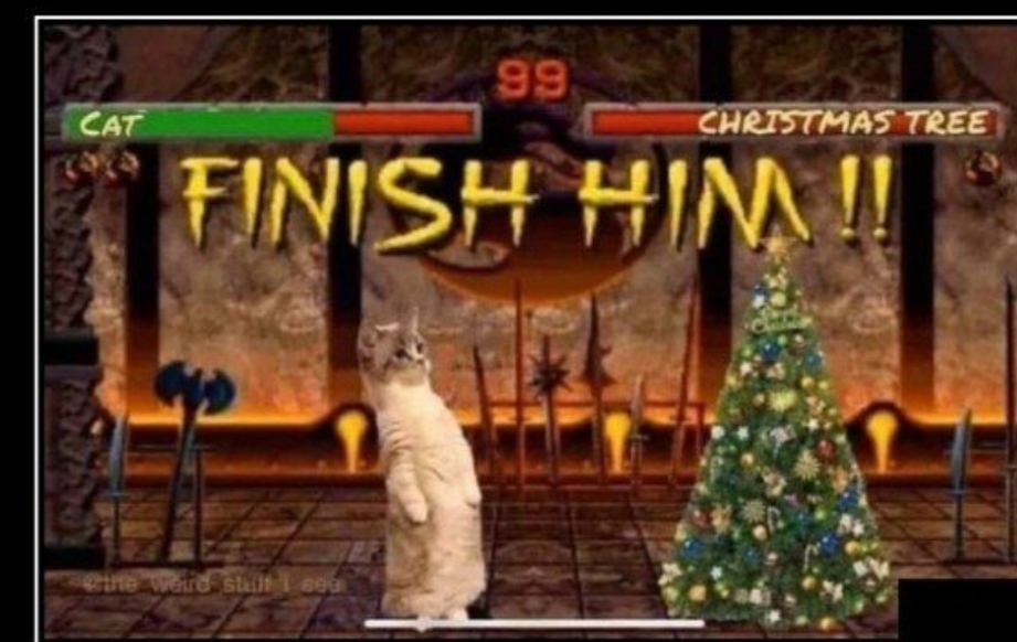 Soon - New Year, Battle, cat, Christmas trees, Computer games