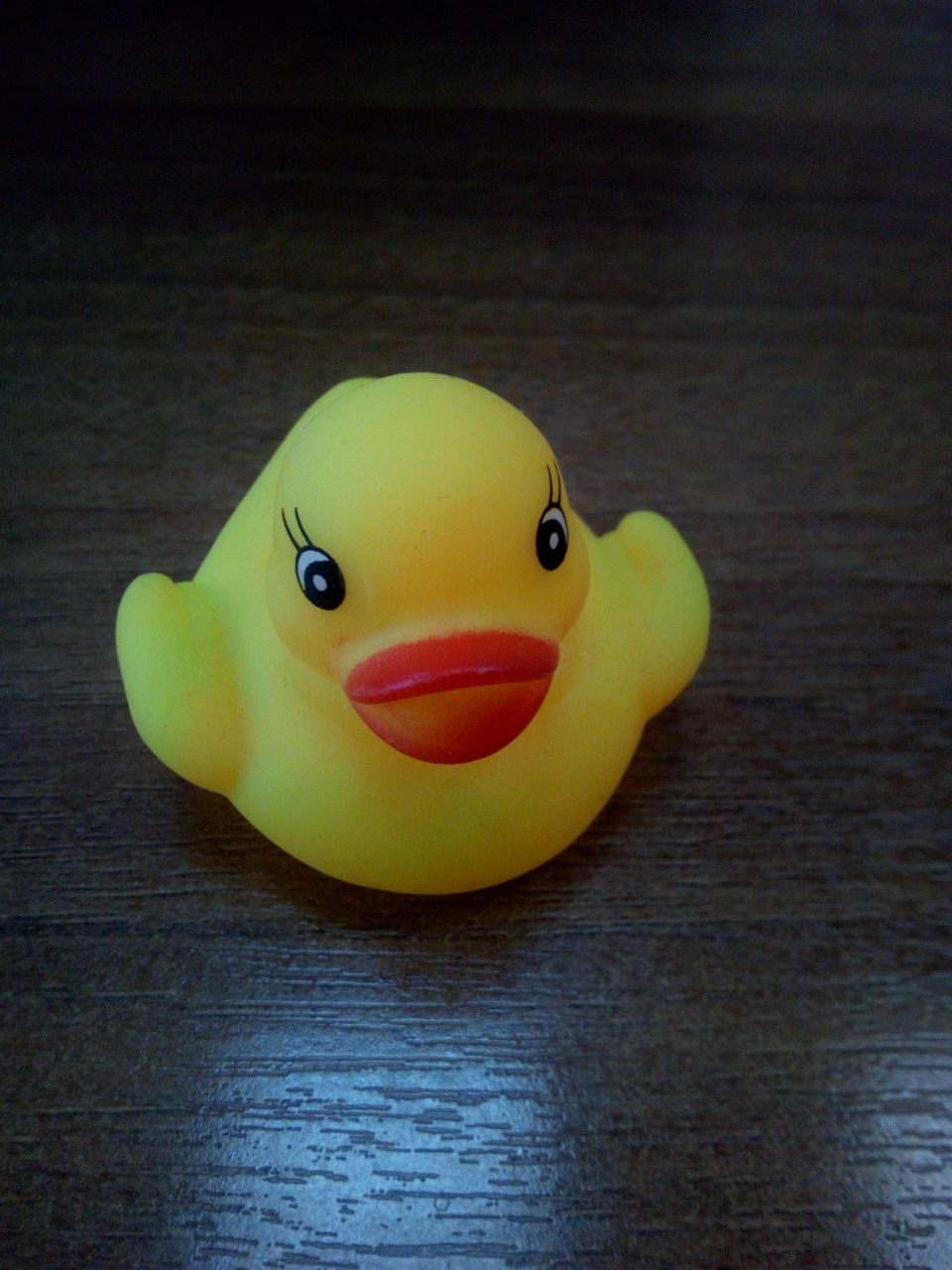 I exchange a duck for an apartment in Novosibirsk - Humor, Gift exchange