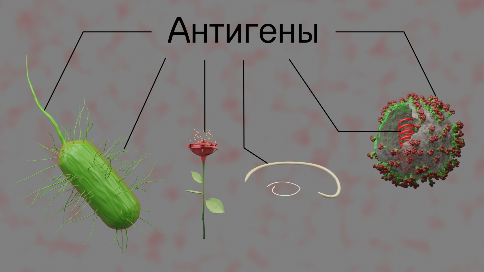 Наши внутренние войска: краткая история всего адаптивного иммунитета |  Пикабу