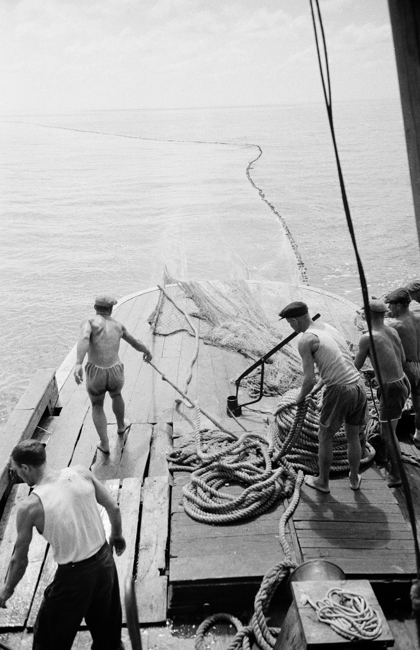 Fishing - the USSR, Tuapse, 1947, Fishing, Fishing, Dolphin, Longpost