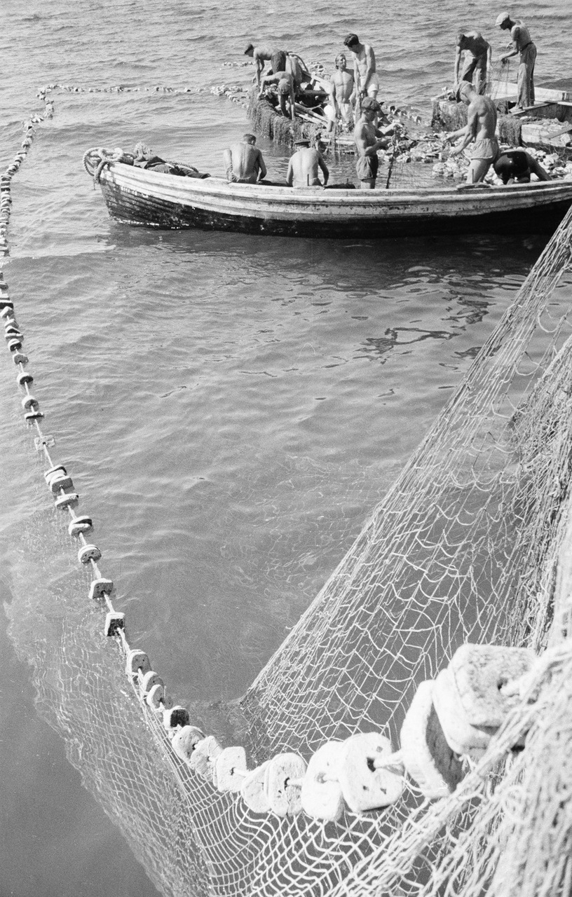 Fishing - the USSR, Tuapse, 1947, Fishing, Fishing, Dolphin, Longpost