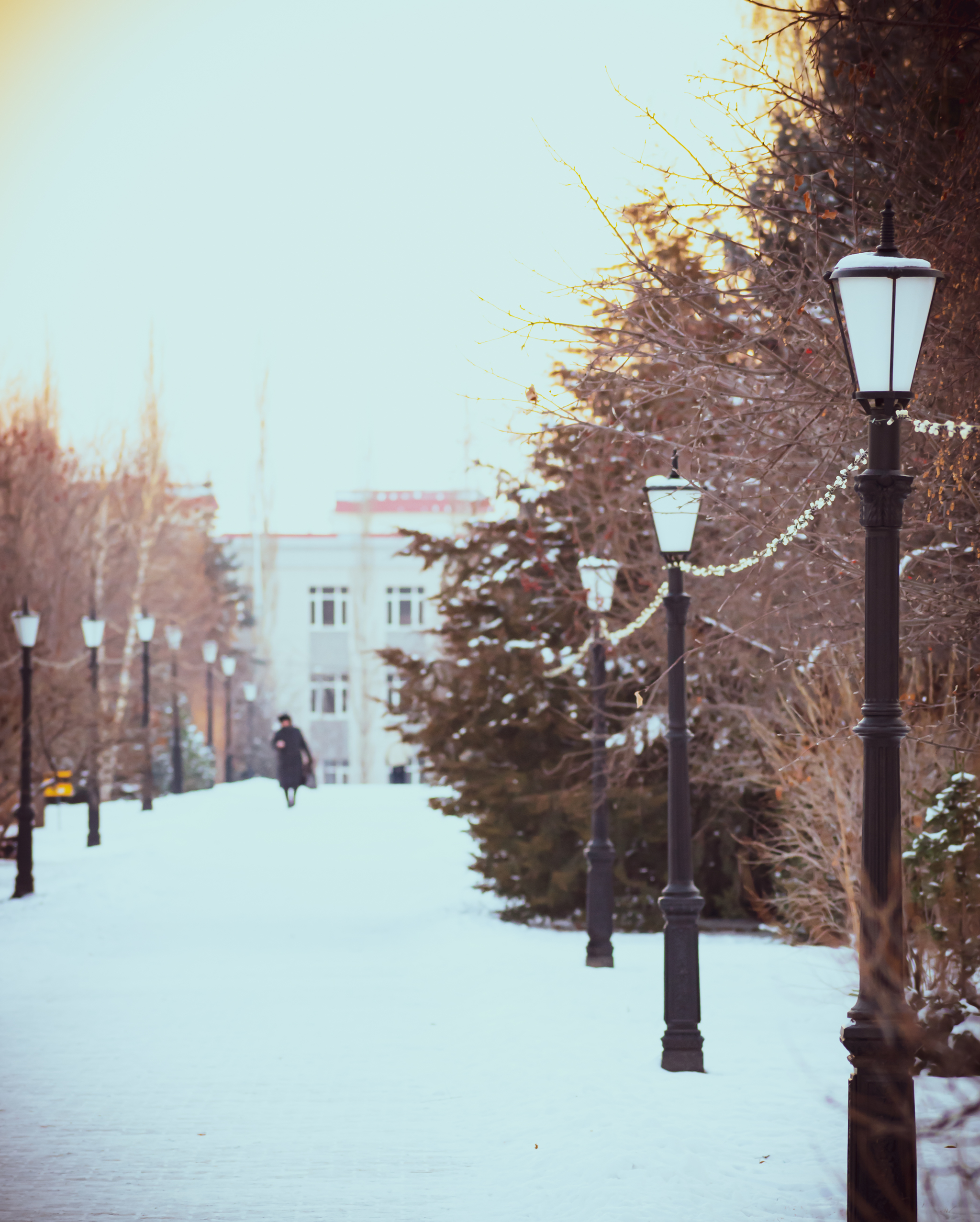 Winter Alley - My, The photo, Winter, Alley, Lamp