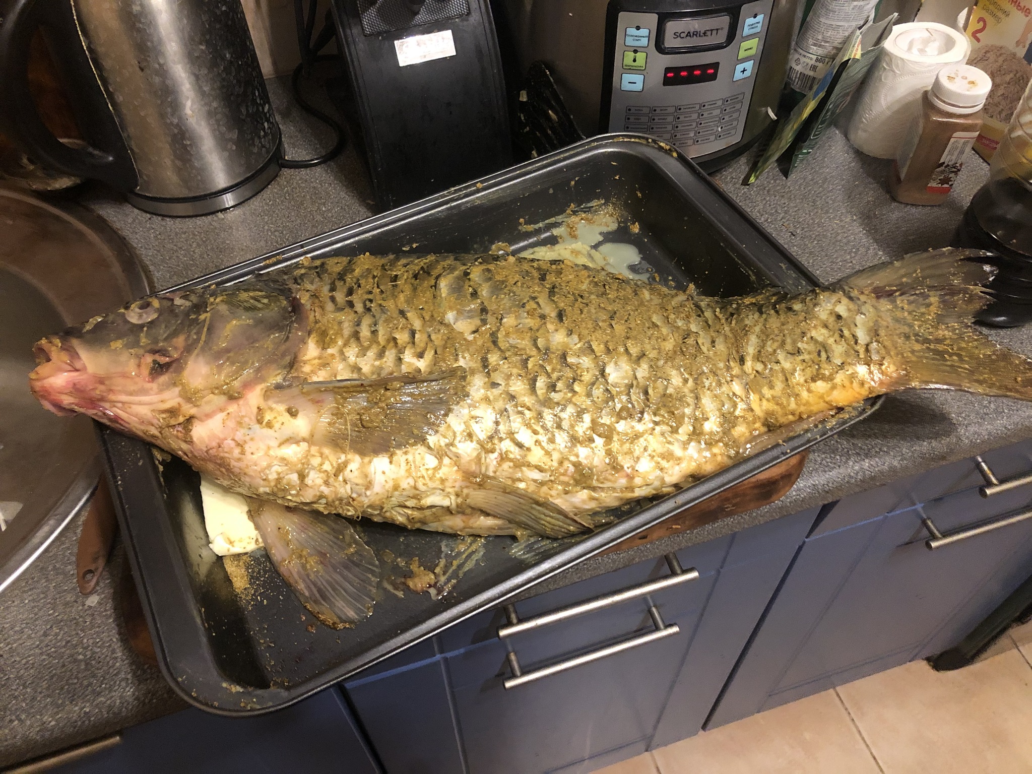 Giant mutant carp from the Czech Republic - My, Recipe, A fish, Beer, Longpost, Cooking