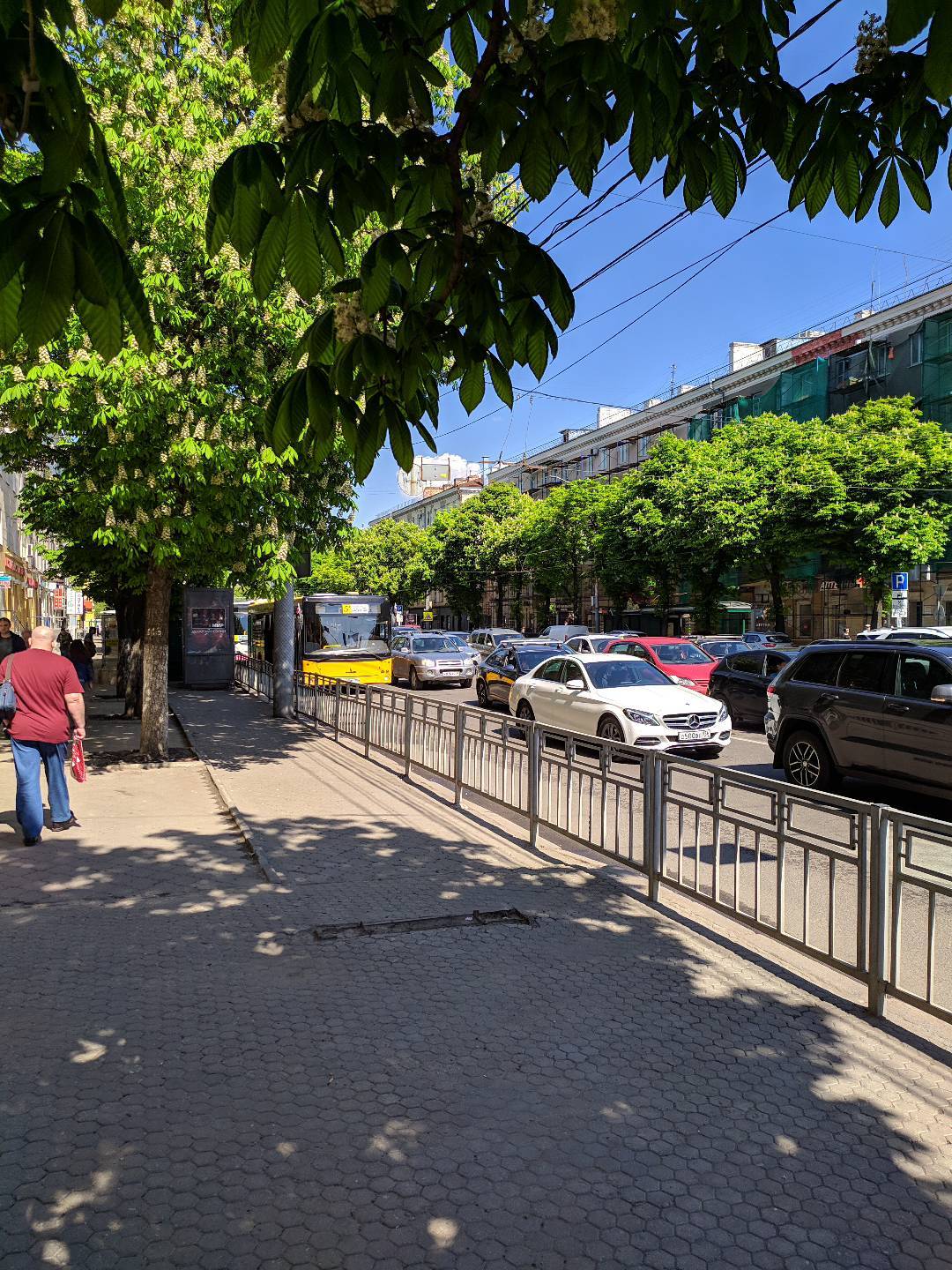 Voronezh. Summer 2019 - My, Voronezh, 2019, Street photography, Longpost