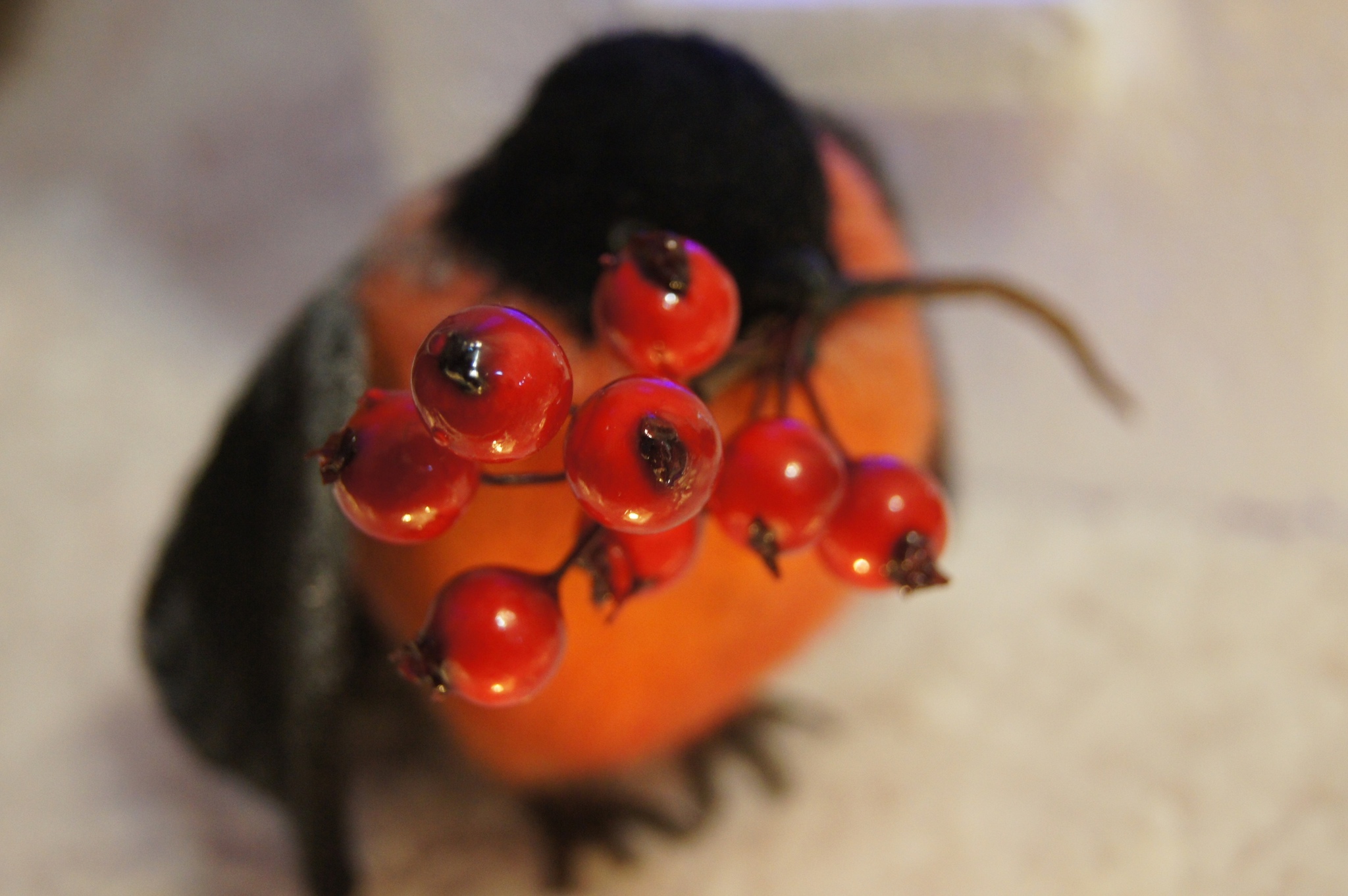 New Year's birds - My, Needlework without process, With your own hands, Needlework, Dry felting, New Year, Bullfinches, Author's toy, Wool toy, Longpost