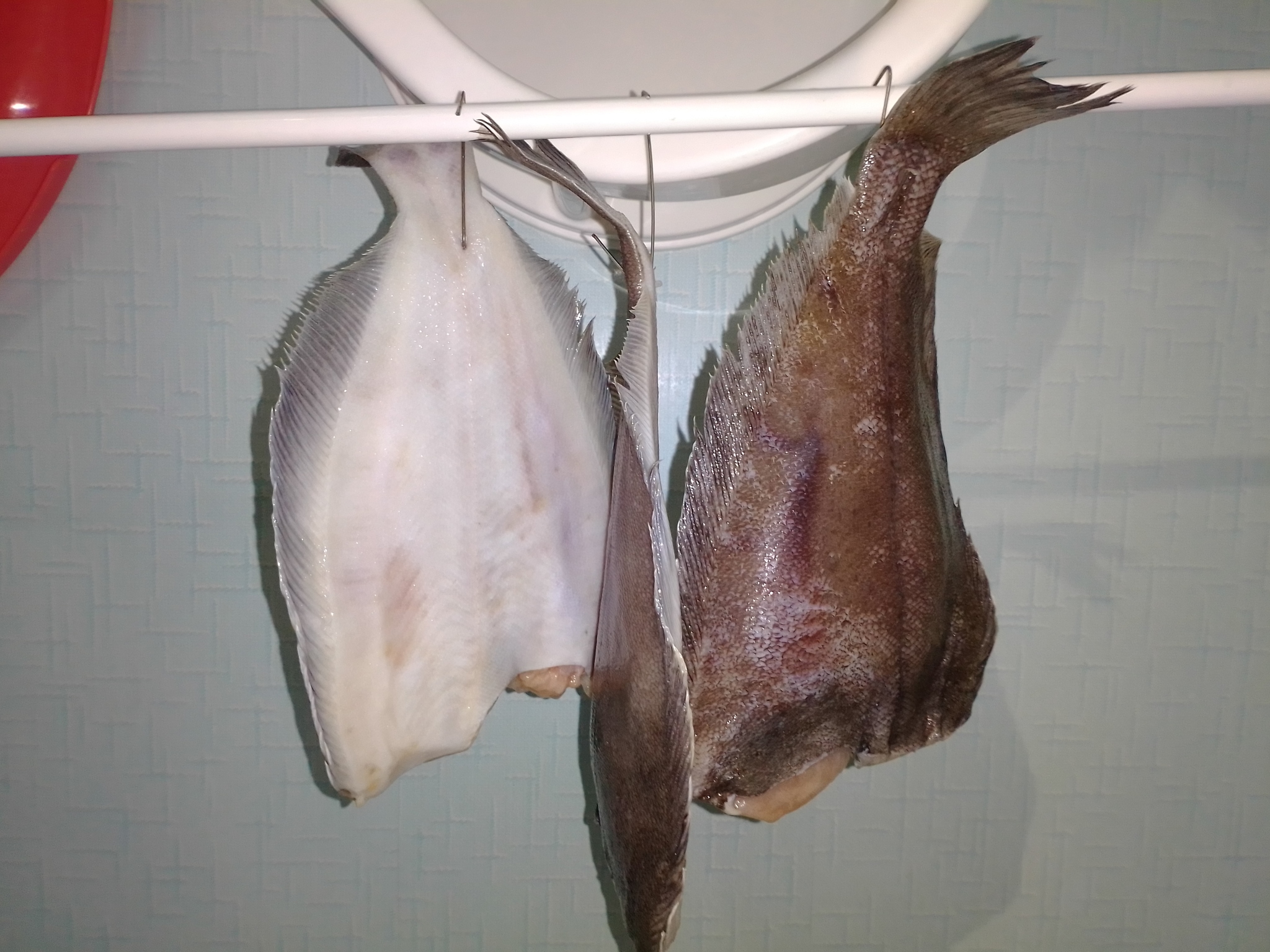 Как приготовить рыбу ерш | Рецепты приготовления ерша в домашних условиях